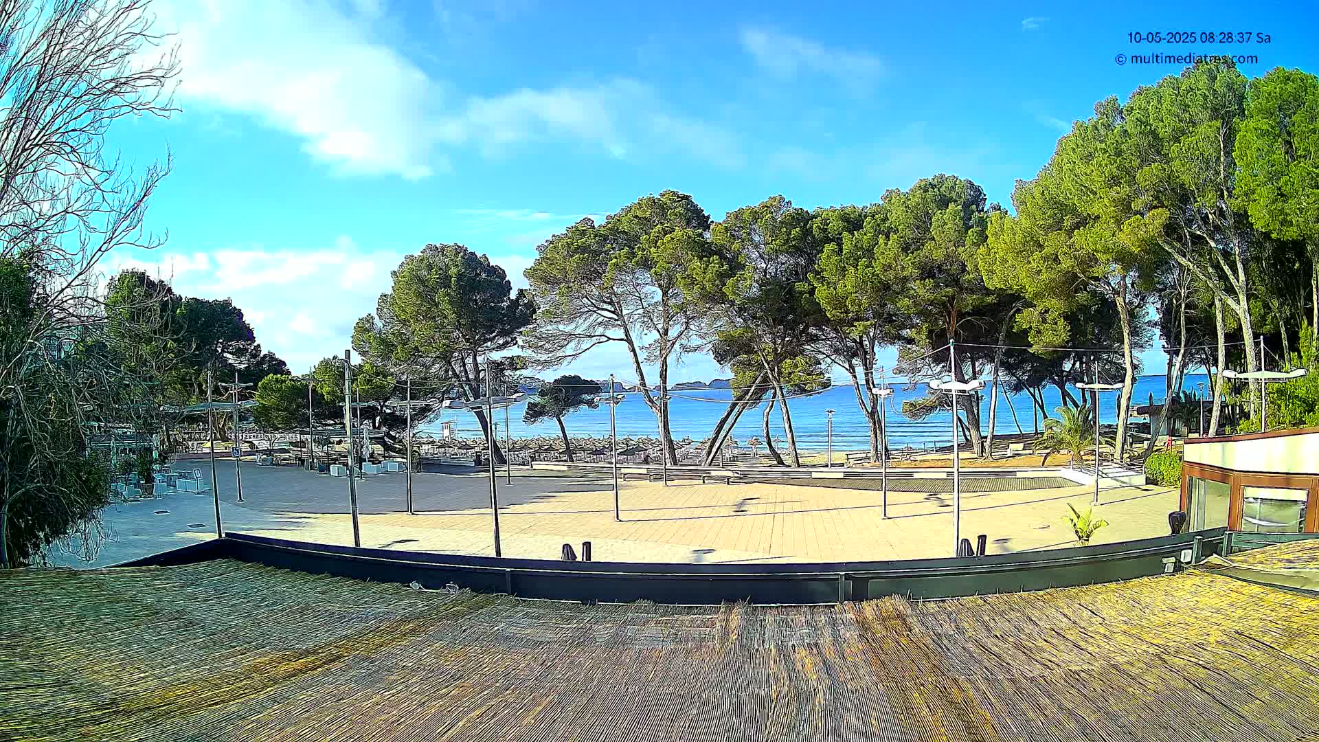 A paved plaza overlooks a calm blue ocean, backed by a line of pine trees under a partly cloudy sky.