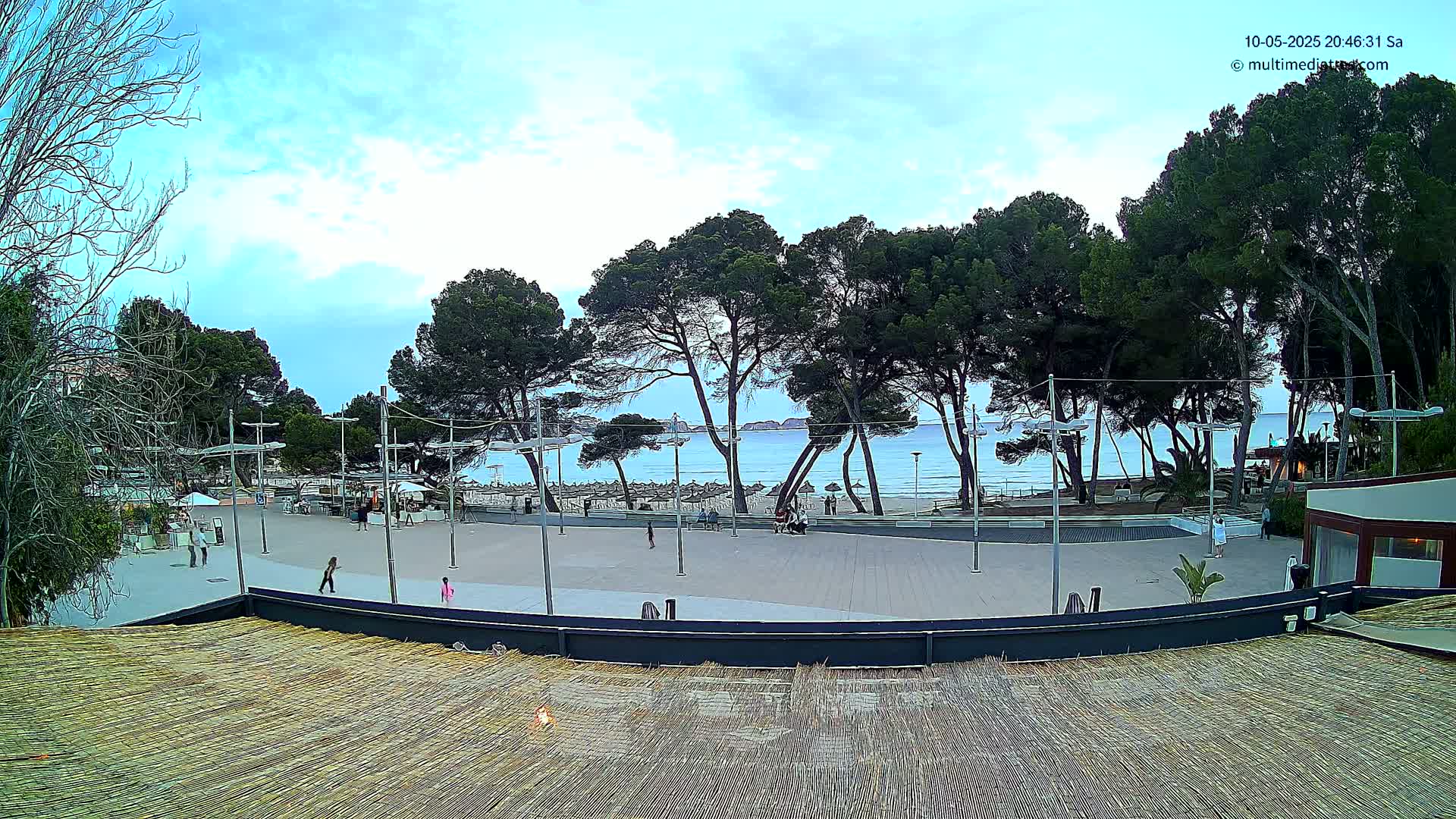A mostly empty plaza overlooks a calm sea, with a row of pine trees separating the two, under a partly cloudy sky.