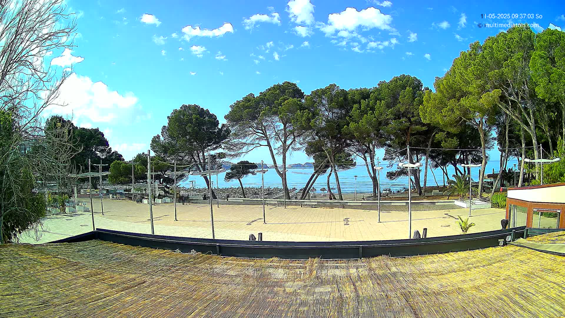 A paved plaza overlooks a calm, blue ocean beach under a partly cloudy, sunny sky, with tall pine trees lining the beachfront.