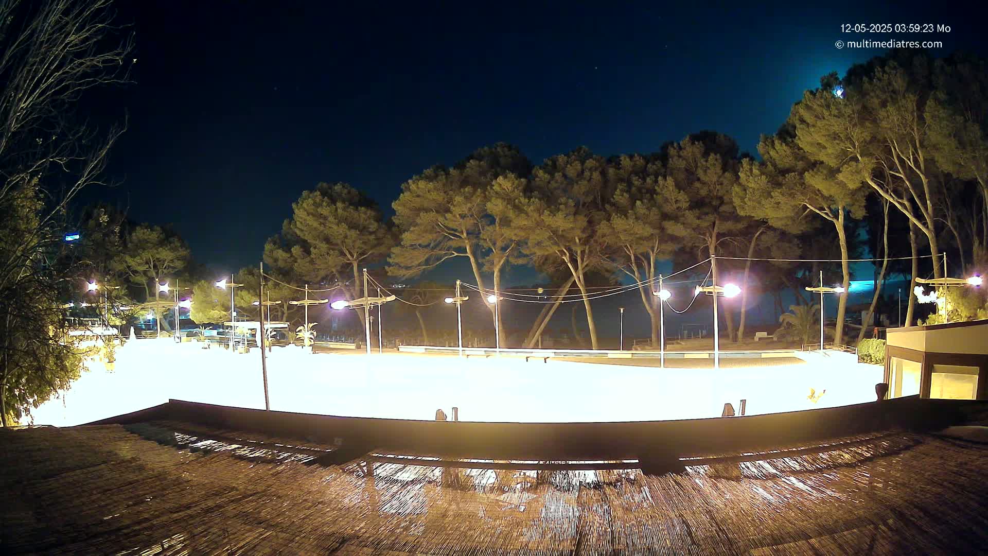 A brightly lit, empty outdoor rink is surrounded by tall pine trees under a clear night sky.