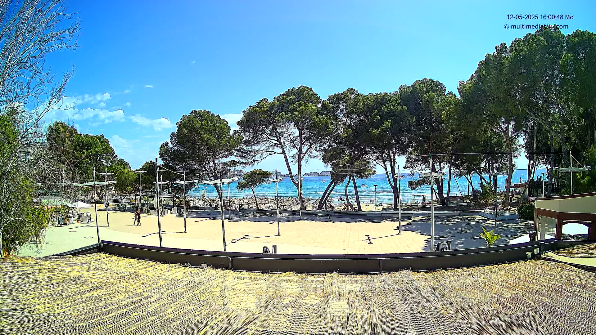 A sunny day overlooking a sandy beach with turquoise water, seen through a line of pine trees from an elevated, thatched-roof vantage point.