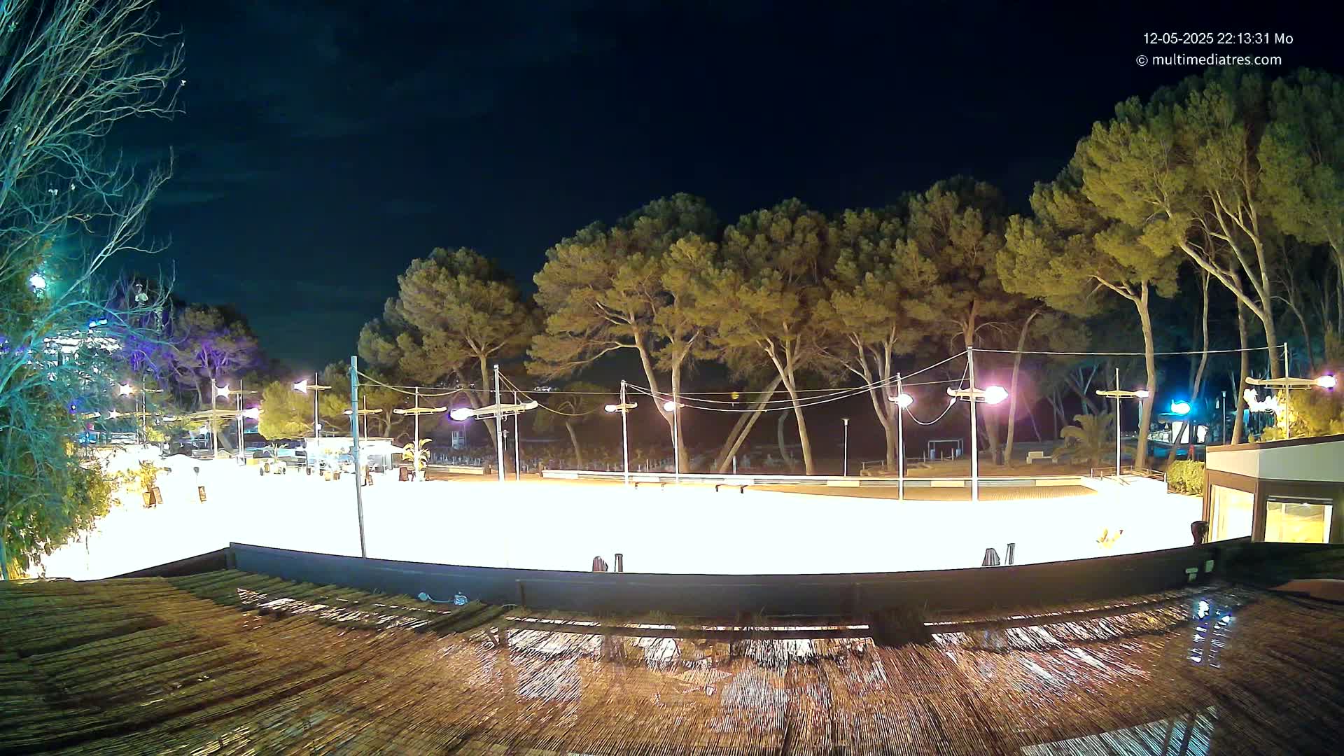 A brightly lit, empty outdoor rink at night, surrounded by tall pine trees under a clear, dark sky.