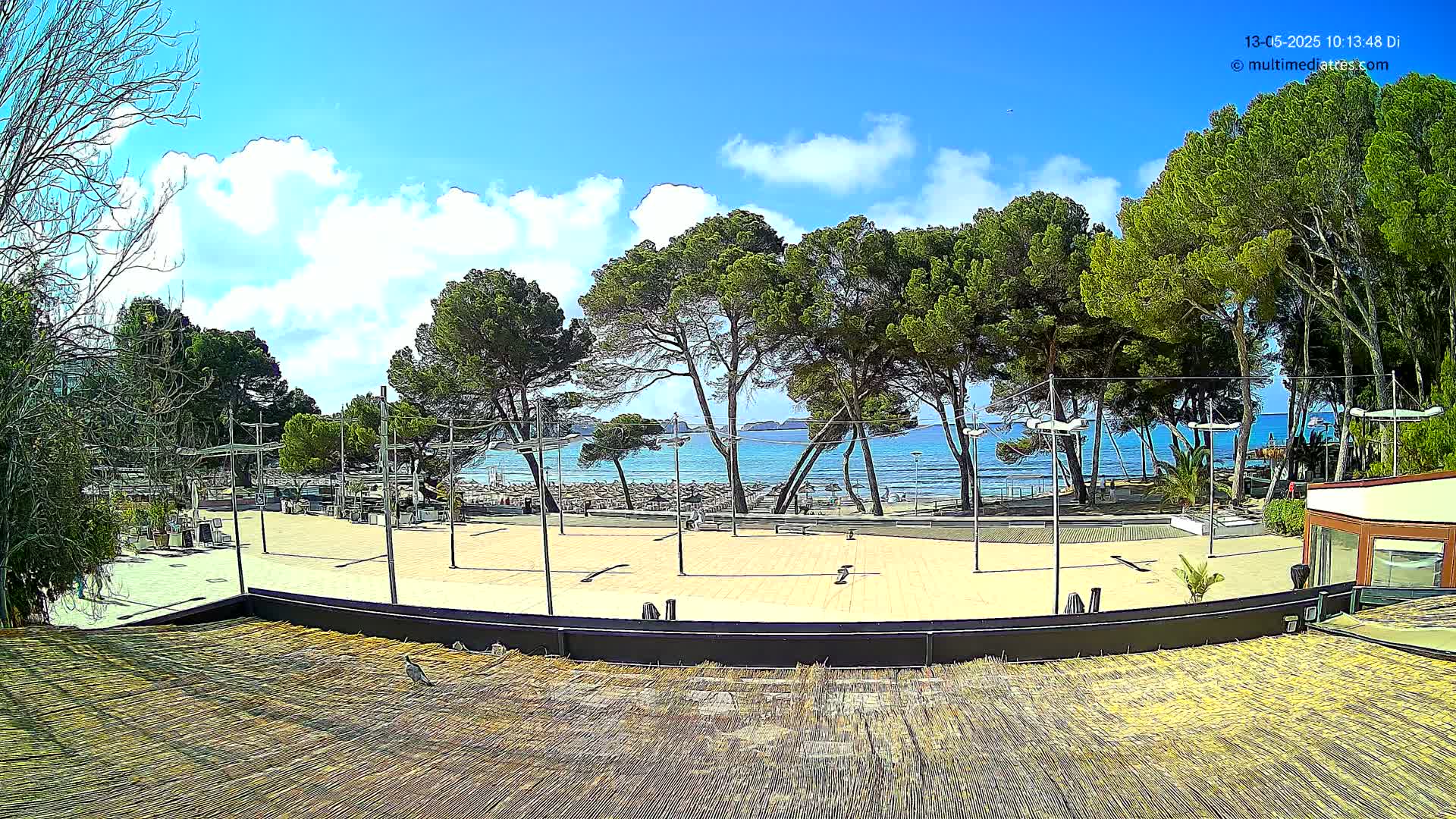 A sandy beach with turquoise water is visible beyond a paved plaza lined with tall pine trees under a partly sunny sky.