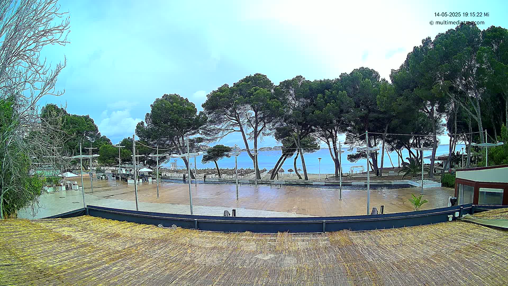 A mostly clear day reveals a paved plaza overlooking a beach with calm water and a line of pine trees, viewed from a slightly elevated perspective.