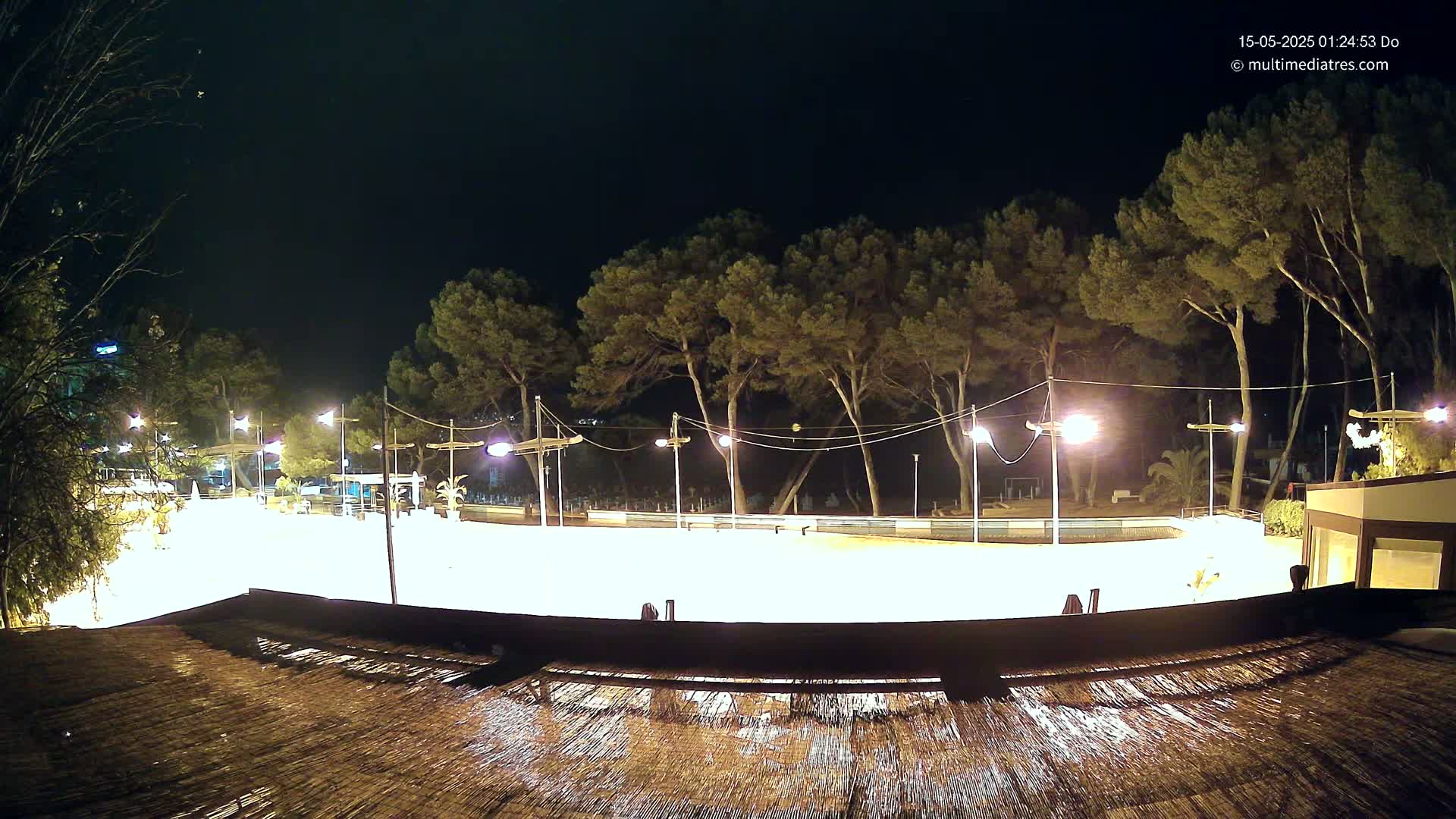 A brightly lit, empty outdoor rink at night, surrounded by tall pine trees under a clear, dark sky.