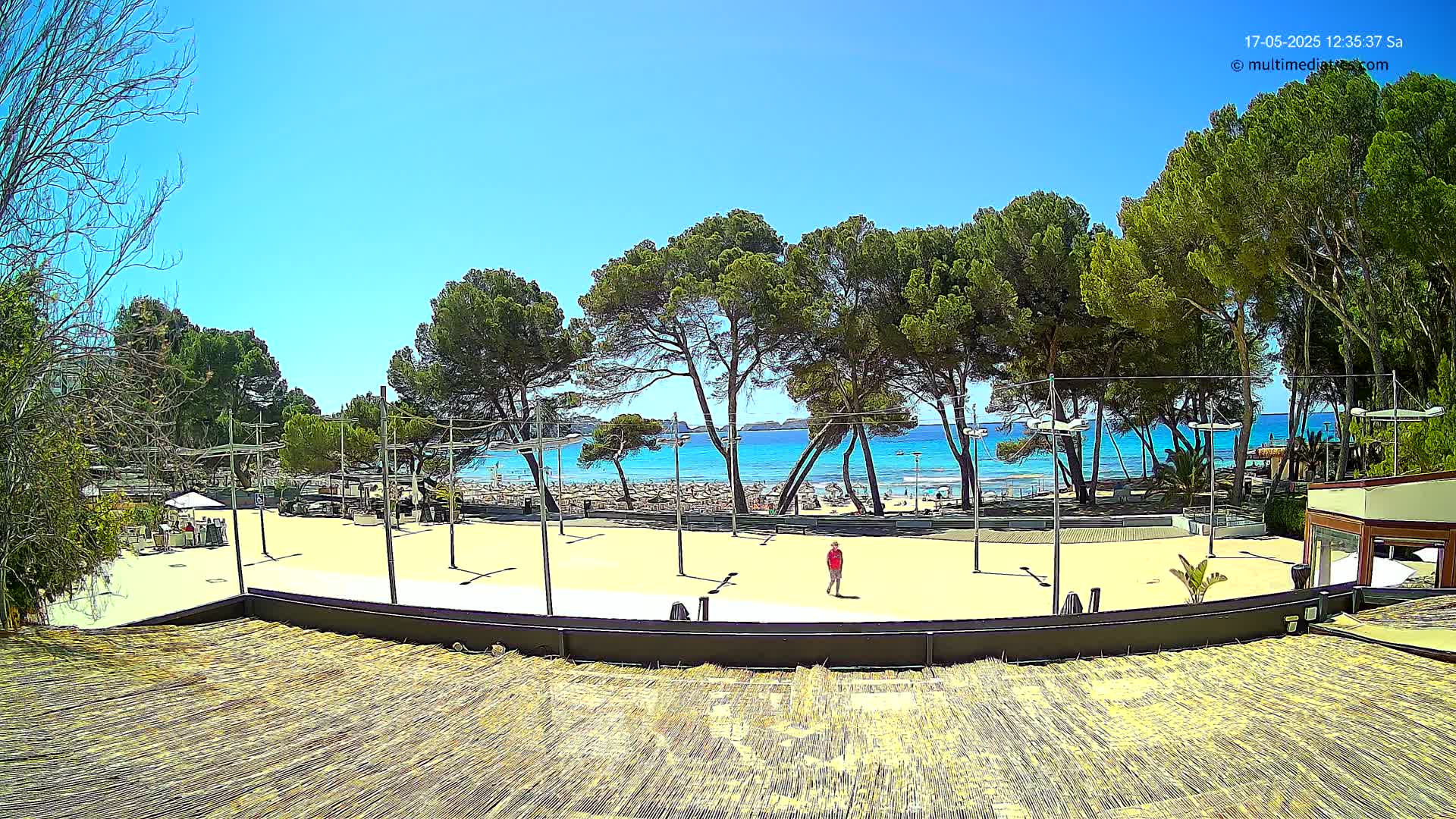 A sandy beach area with a person walking across it, is bordered by a line of pine trees, beyond which lies a clear blue ocean under a bright sunny sky.