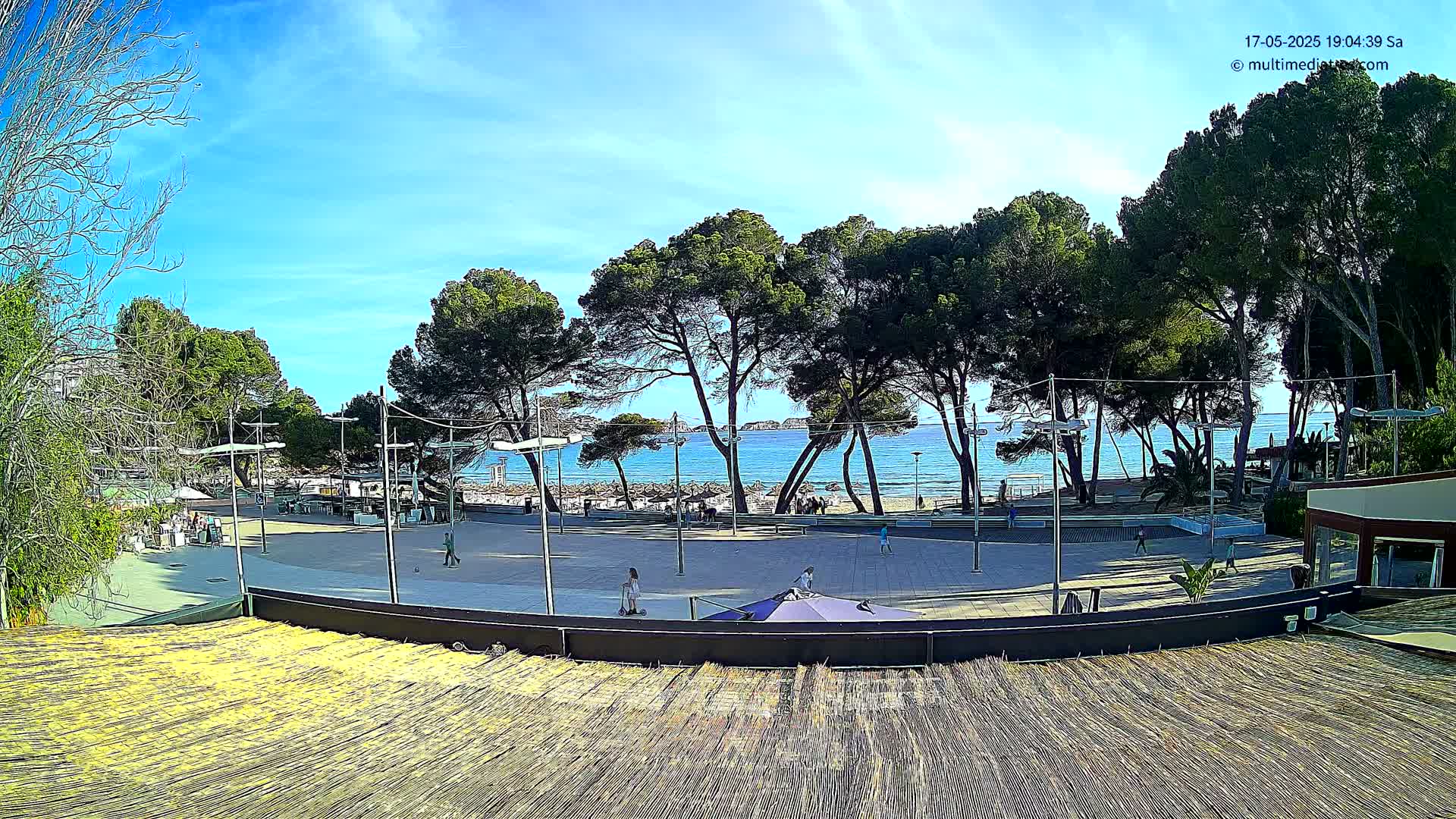 A beachfront plaza with a sandy beach and calm blue ocean is seen beyond a row of pine trees on a sunny day.