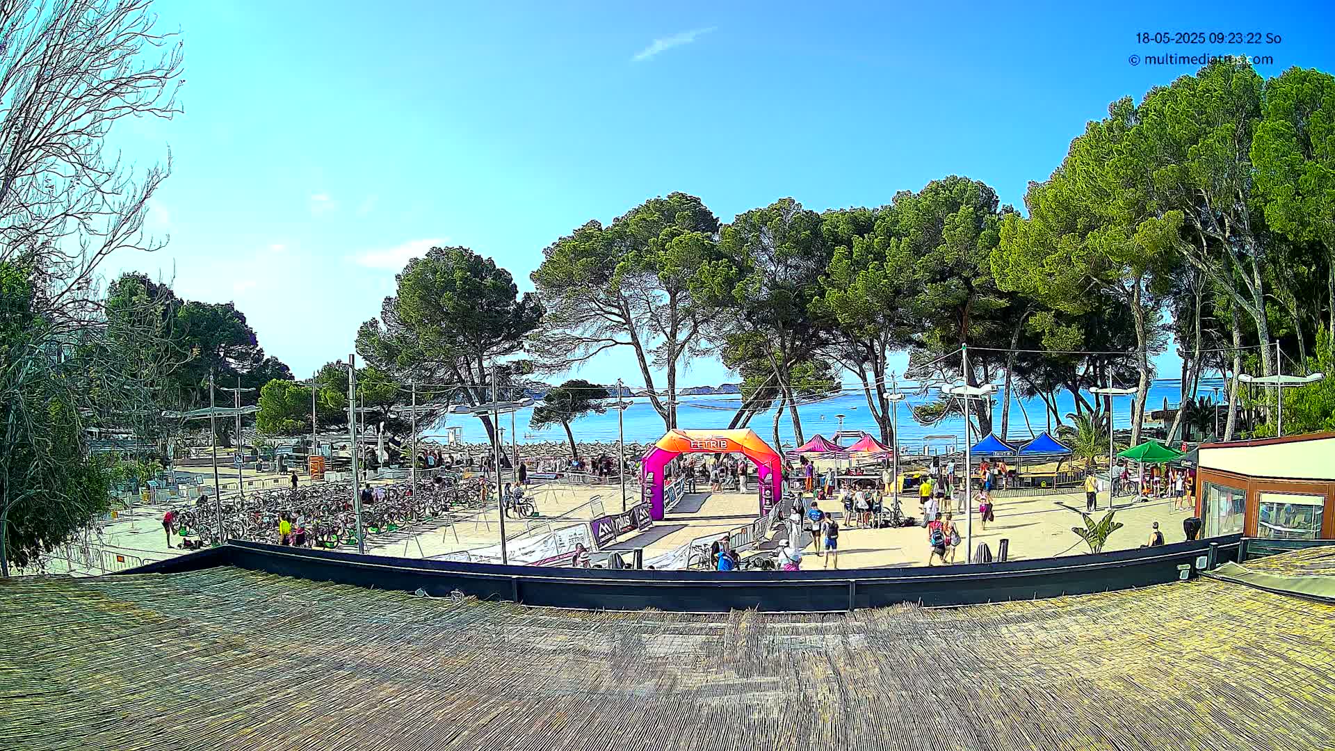 A sunny day at a beachside event features a finish line archway, numerous bicycles parked, people congregating, and several tents under a canopy of pine trees.