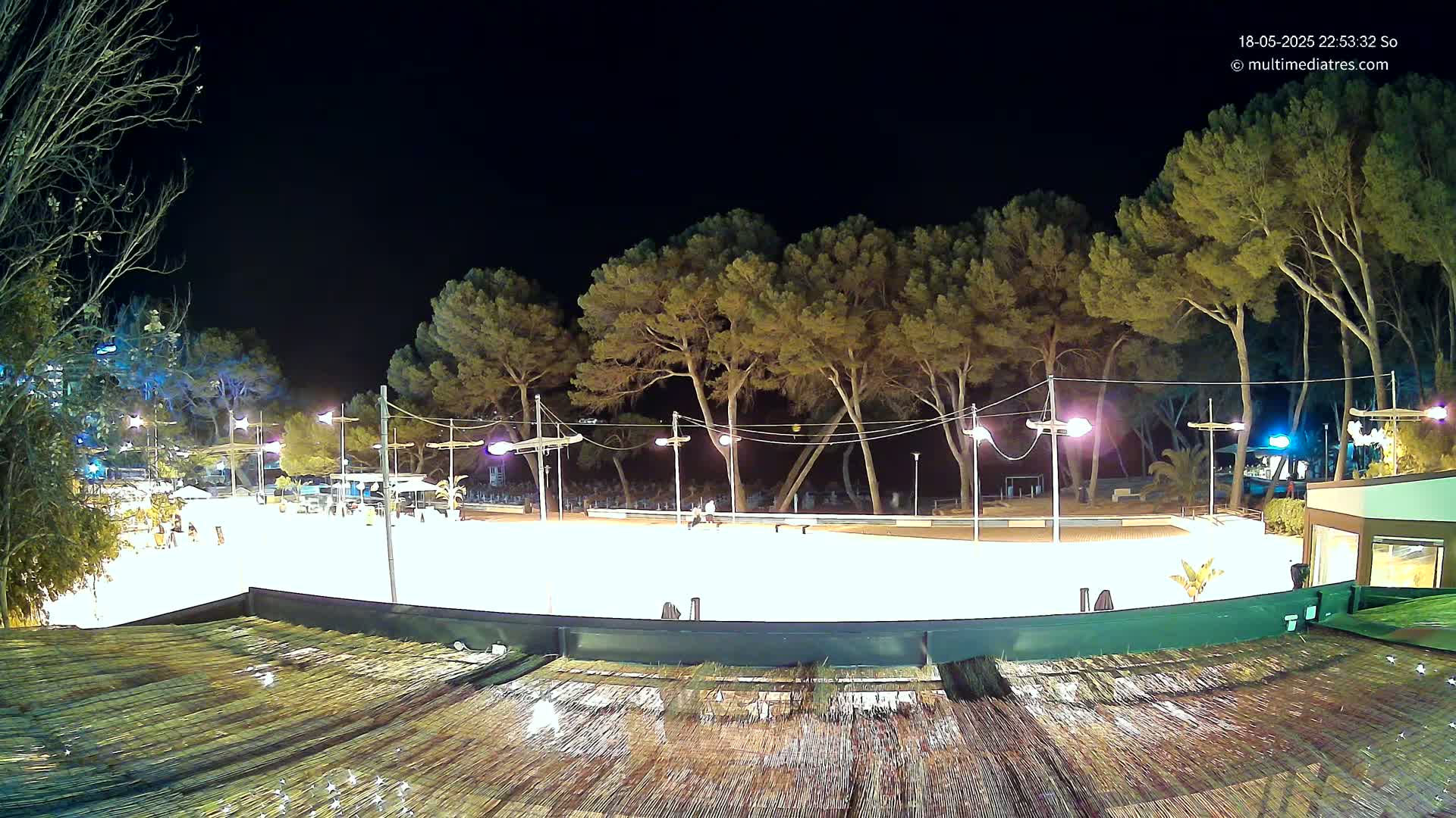 A brightly lit, empty outdoor rink at night, surrounded by tall pine trees and illuminated by streetlights.