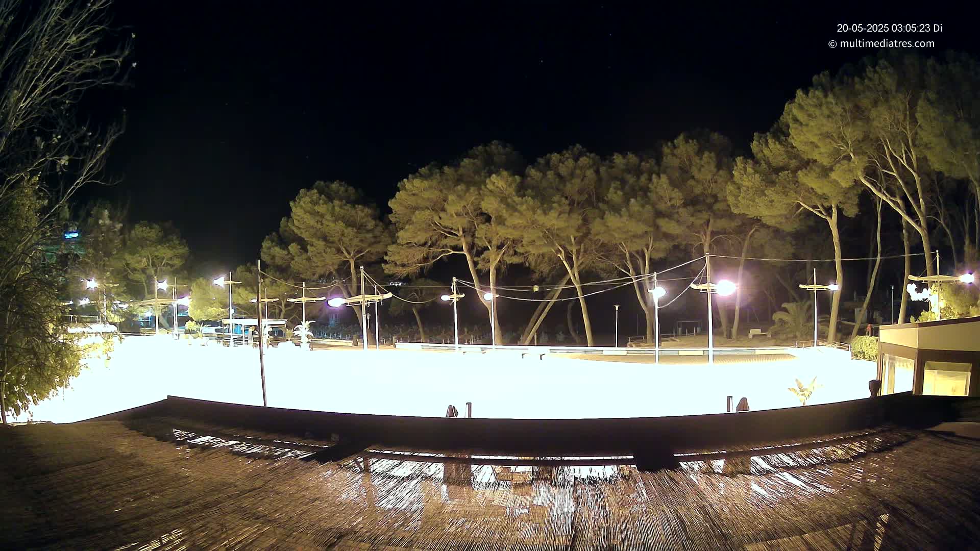 A brightly lit outdoor area at night, featuring a row of pine trees and a long, rectangular structure, possibly a rink or plaza, under a clear, dark sky.