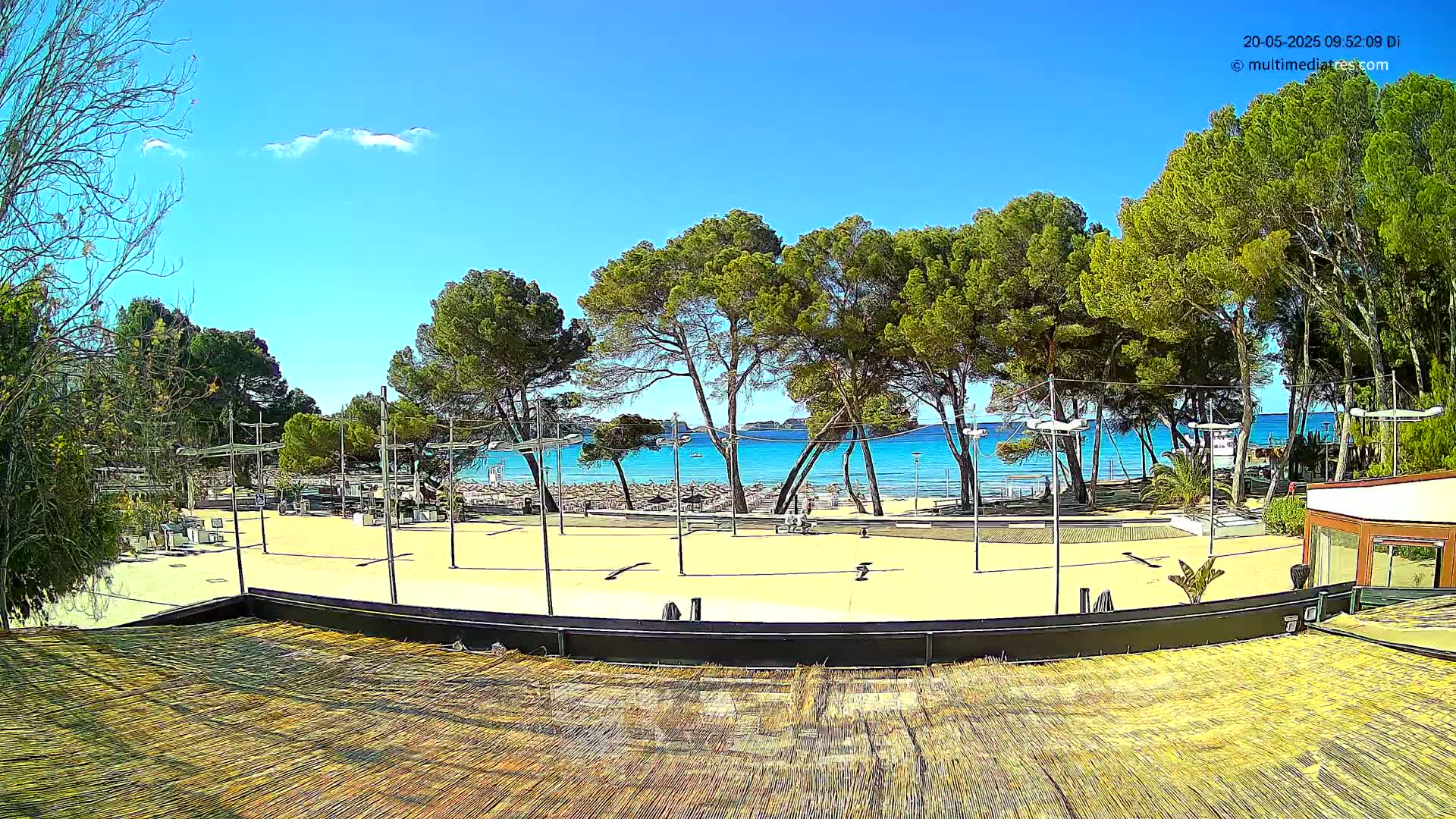 A sandy beachfront area with tall pine trees and a calm, clear blue ocean under a mostly sunny sky is viewed from a slightly elevated position.