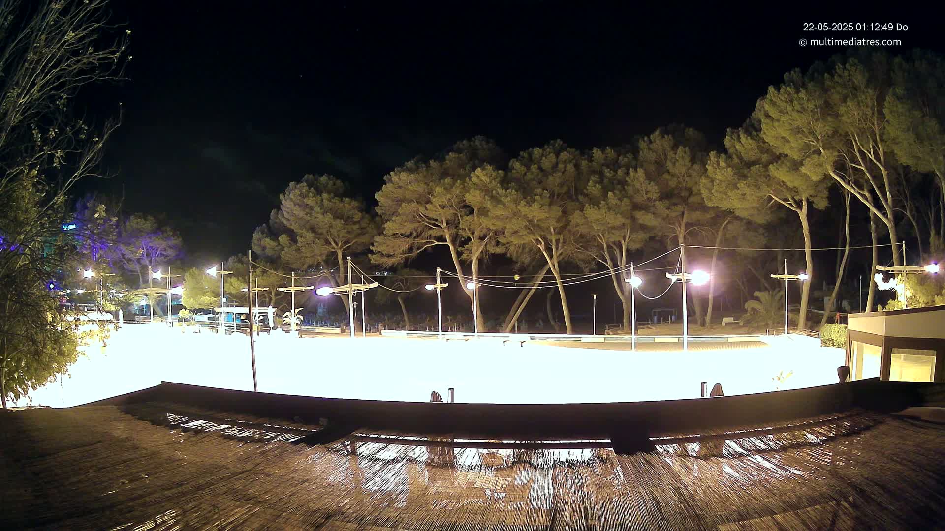 A brightly lit, empty plaza at night, surrounded by tall pine trees under a clear, dark sky.