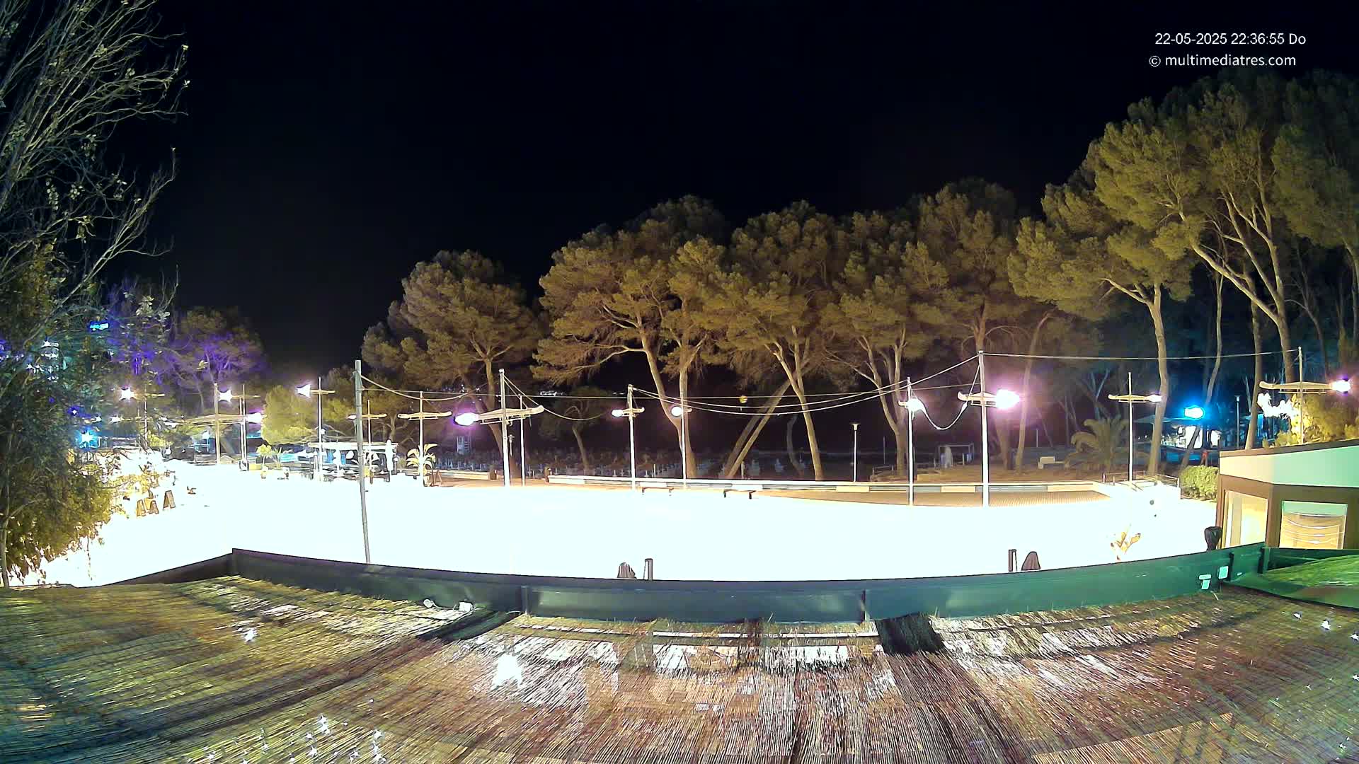 A brightly lit, empty outdoor skating rink at night, surrounded by tall pine trees and illuminated by streetlights.