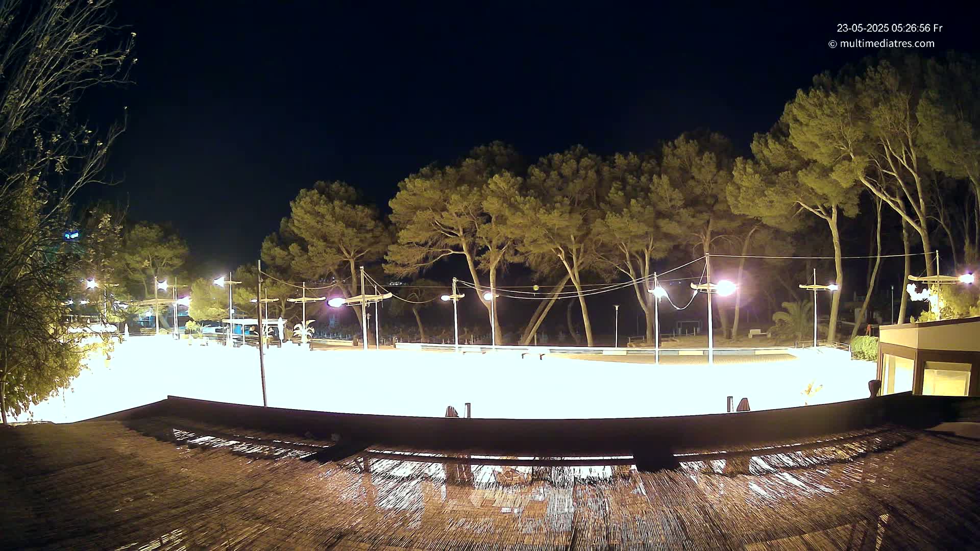 A brightly lit, empty outdoor rink at night, surrounded by tall pine trees under a clear, dark sky.