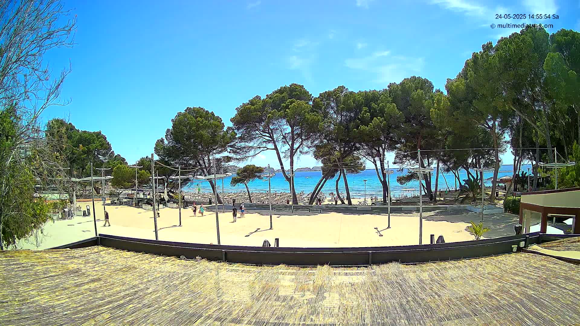 A sandy beach area with a volleyball court is visible beyond a line of pine trees, under a bright sunny sky, overlooking a calm, blue ocean.