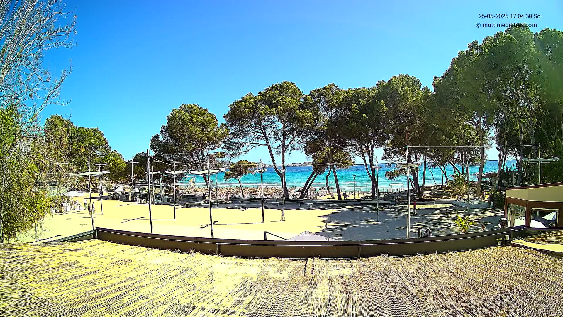 A sandy beachfront area with tall pine trees, light posts, and a partially visible restaurant is visible under a clear blue sky.