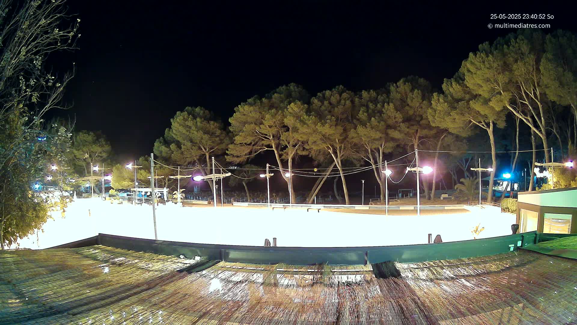A brightly lit, empty plaza at night, surrounded by tall pine trees under a clear, dark sky.