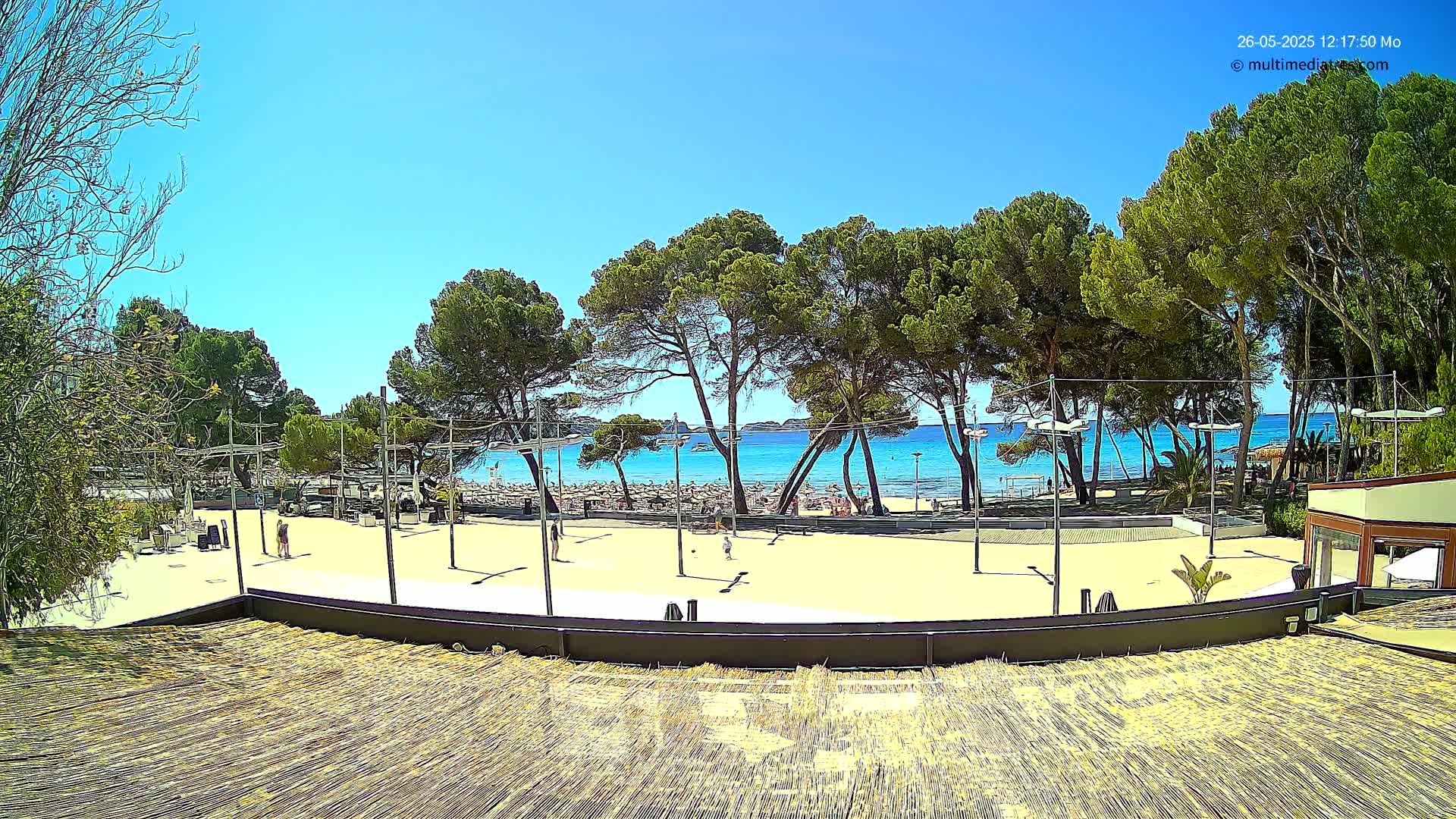 A sandy beach area with people and trees under a clear, sunny sky overlooks a calm, blue ocean.