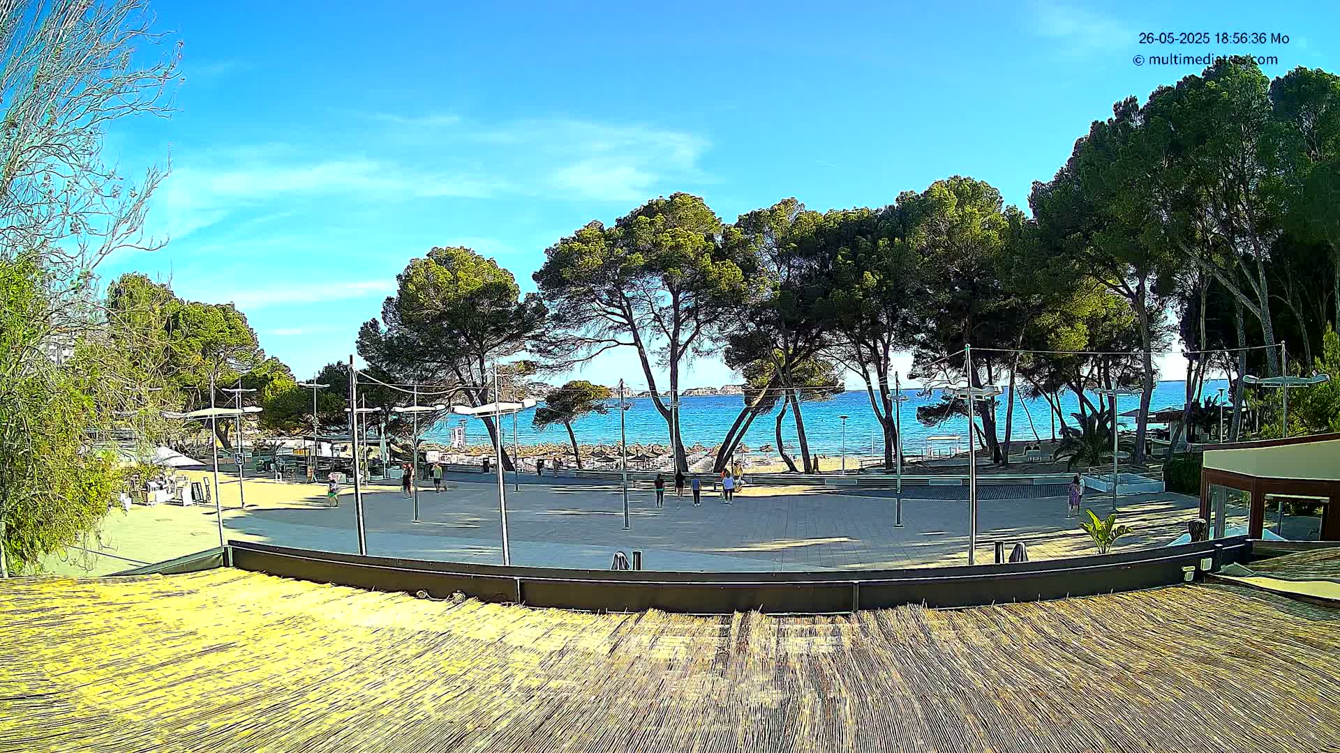 A paved plaza with a few people, lined with tall pine trees, overlooks a calm blue ocean on a sunny day.