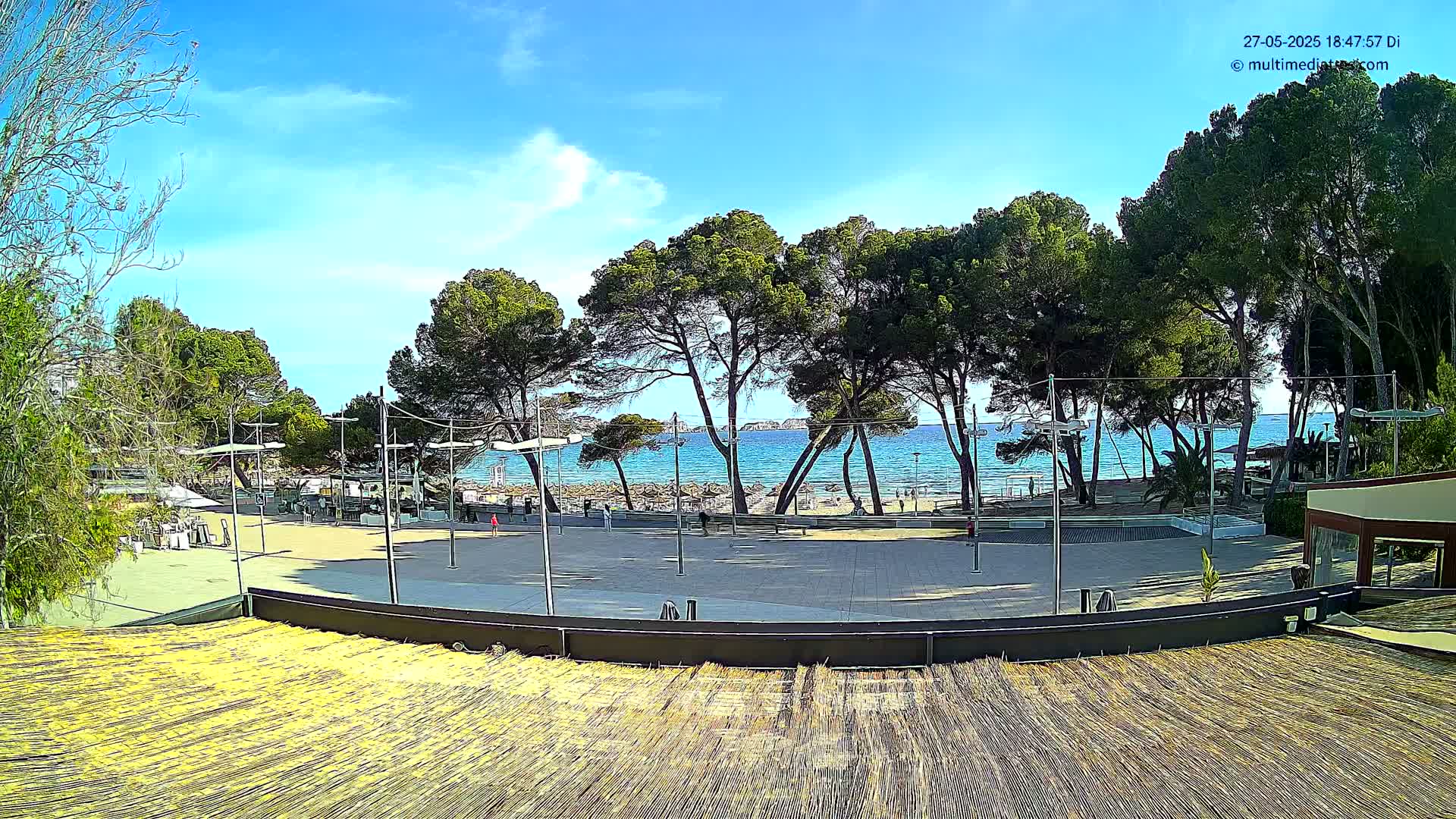A paved plaza overlooks a sunny beach with calm blue water and a line of pine trees.
