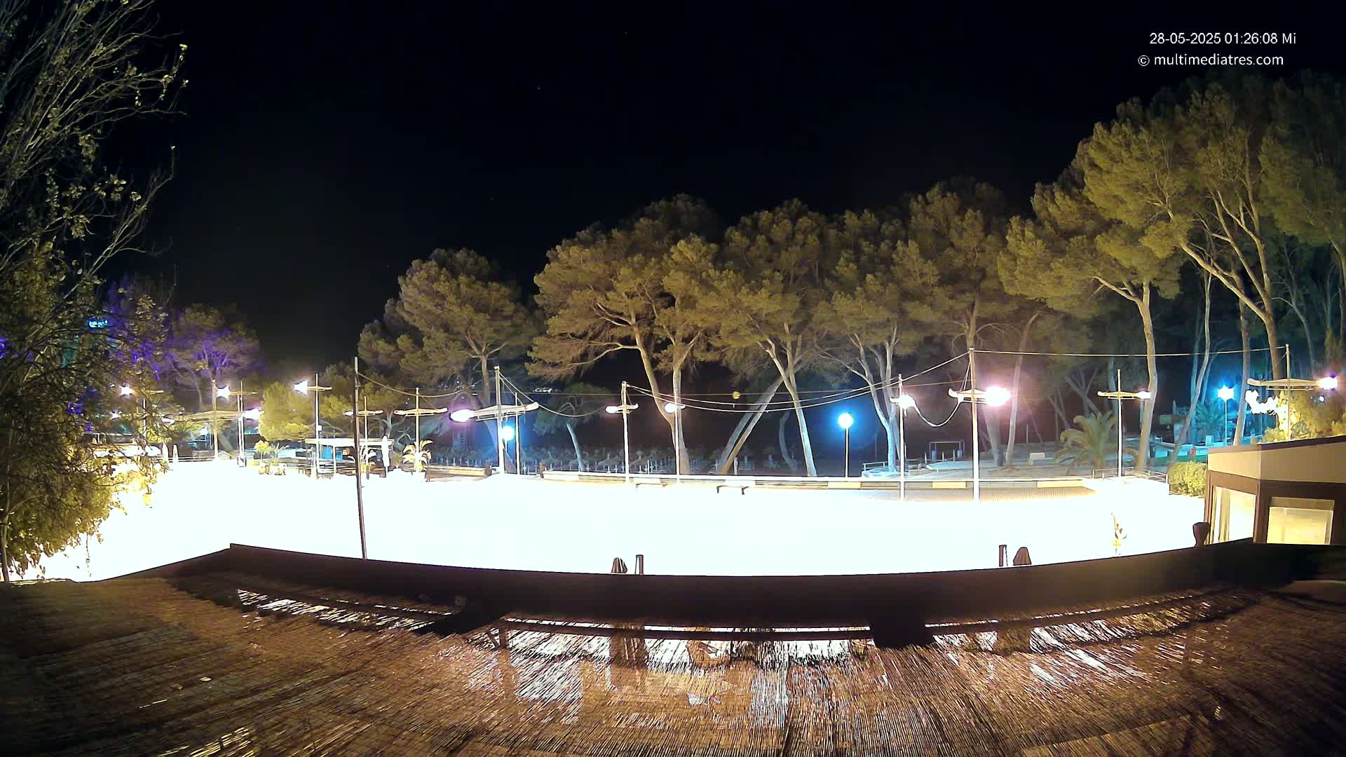 A brightly lit, empty outdoor rink is surrounded by tall pine trees at night.