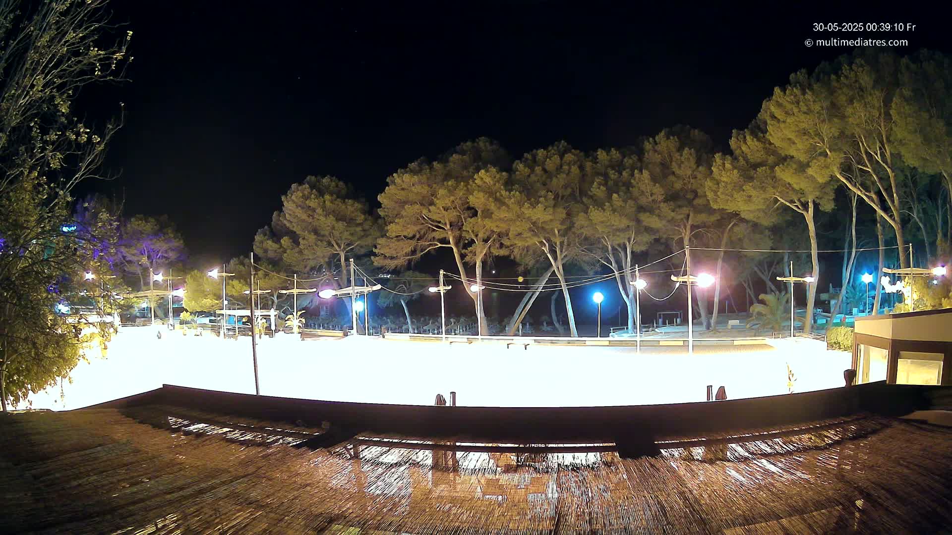 A brightly lit, empty outdoor skating rink at night, surrounded by tall, dark trees under a clear sky.