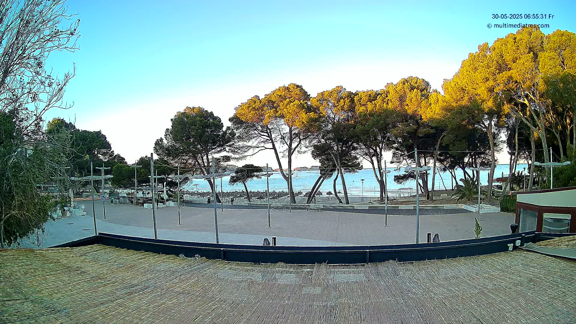 A paved plaza overlooks a calm, blue ocean under a clear sky, with tall pine trees lining the beachfront and casting shadows in the late afternoon sun.