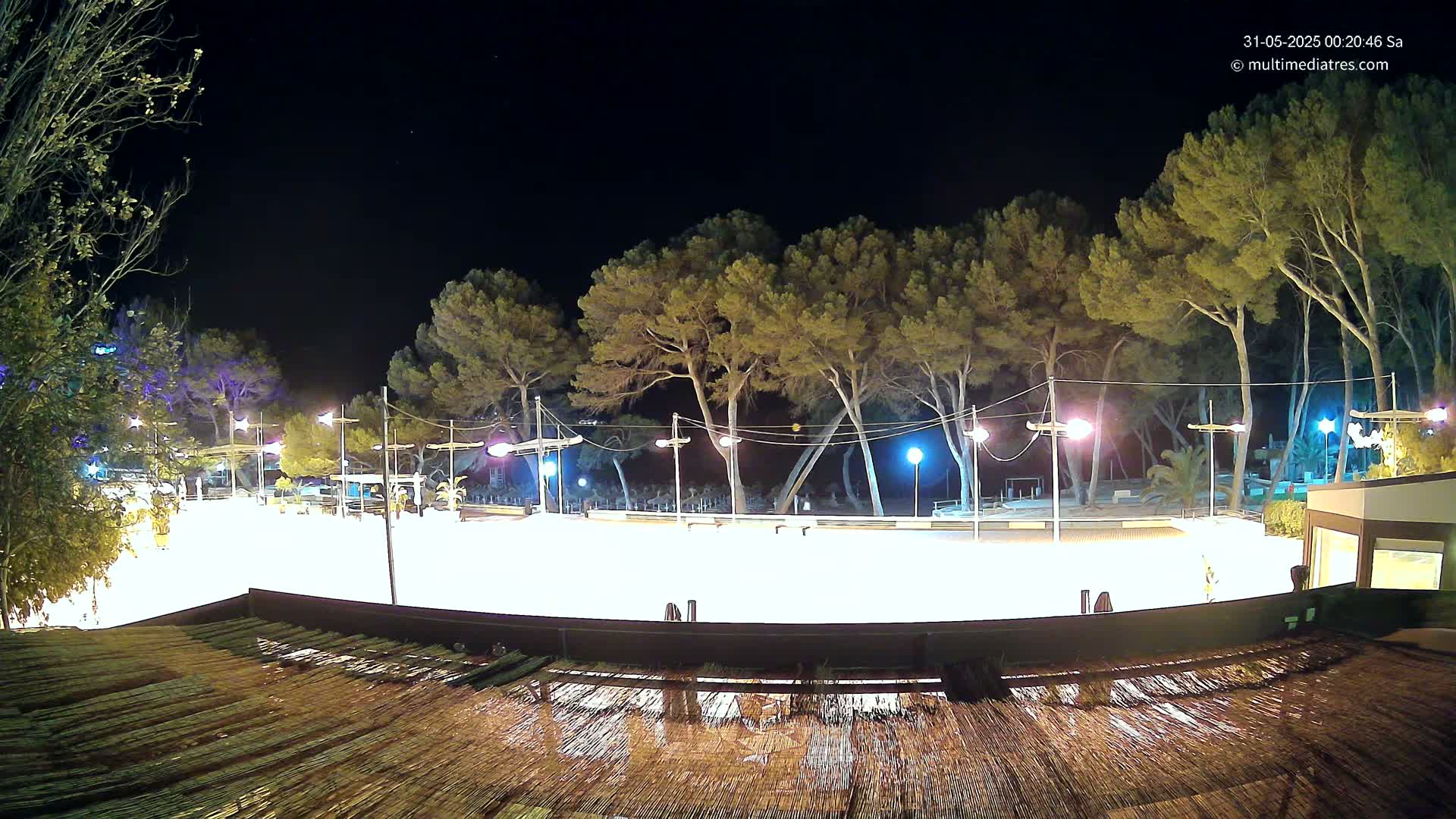 A brightly lit, empty skating rink at night, surrounded by tall pine trees under a clear, dark sky.