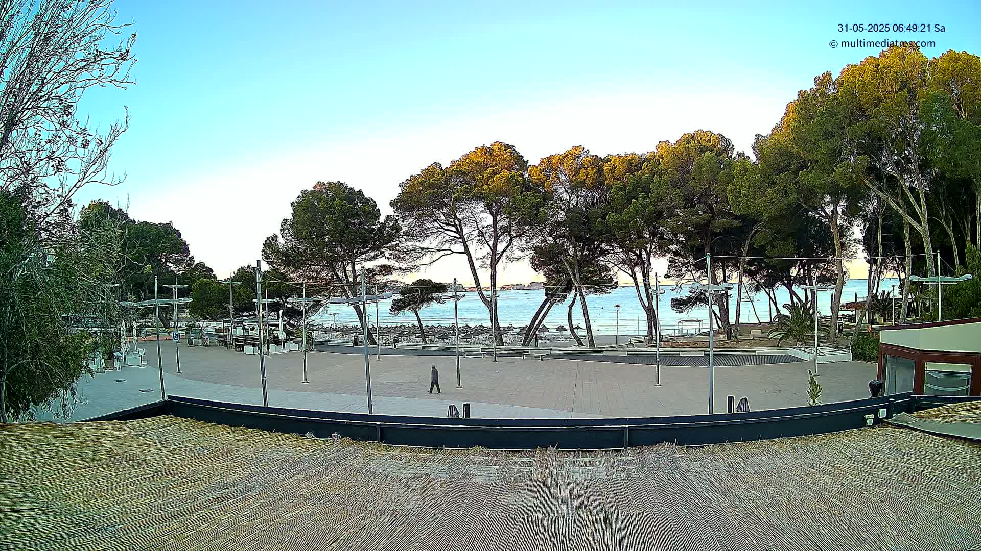 A paved plaza overlooks a calm sea under a clear, light-blue sky, with a line of pine trees separating the two and a lone person walking across the plaza.
