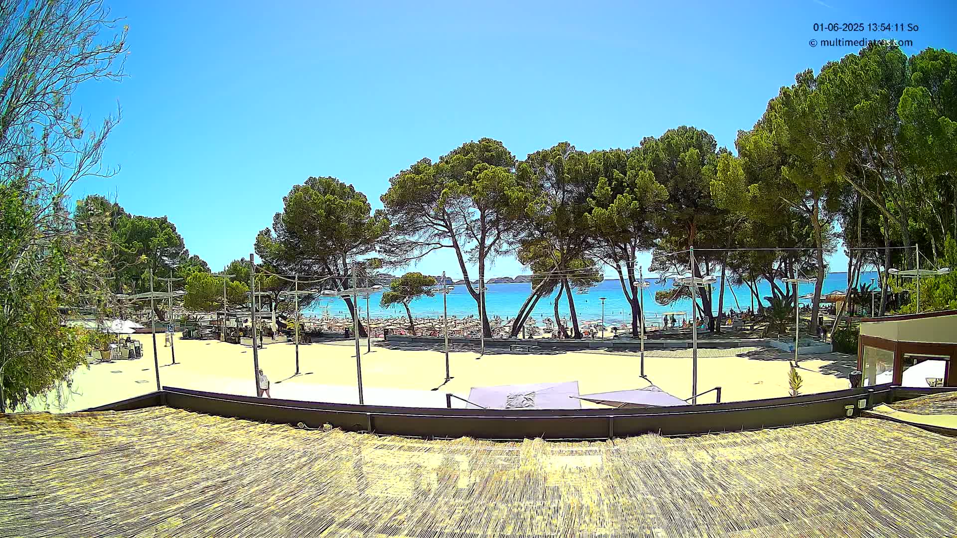 A sandy beach with many people and umbrellas is visible beyond a line of pine trees under a clear blue sky.
