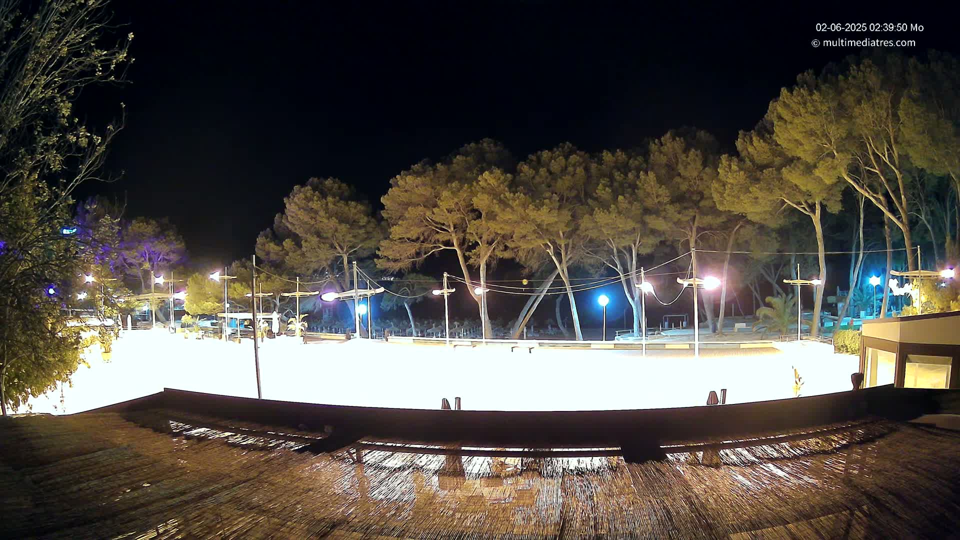 A brightly lit, empty ice rink at night is surrounded by tall pine trees under a clear, dark sky.