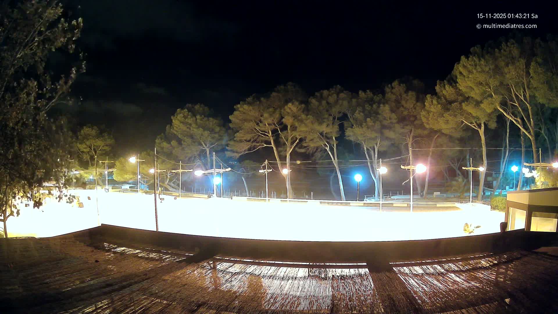 A brightly lit outdoor court, bordered by numerous pine trees, is seen at night from above a textured roof, under a clear sky with faint clouds.