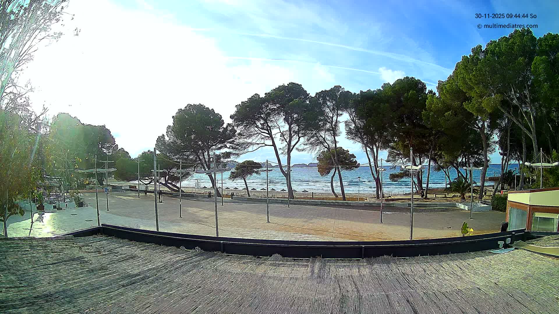 A bright, sunny day with a clear blue sky reveals a paved promenade and tall pine trees lining a sandy beach with umbrellas, leading to a blue sea with gentle waves and distant land.