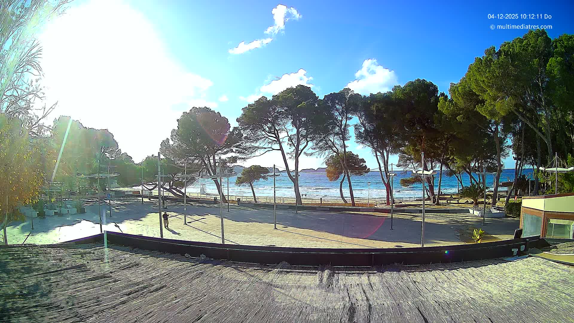 A sunny day with a clear blue sky and scattered white clouds reveals a beach scene featuring a sandy shore lined with numerous pine trees, a vibrant blue ocean with gentle waves, and a paved area in the foreground where a person walks.