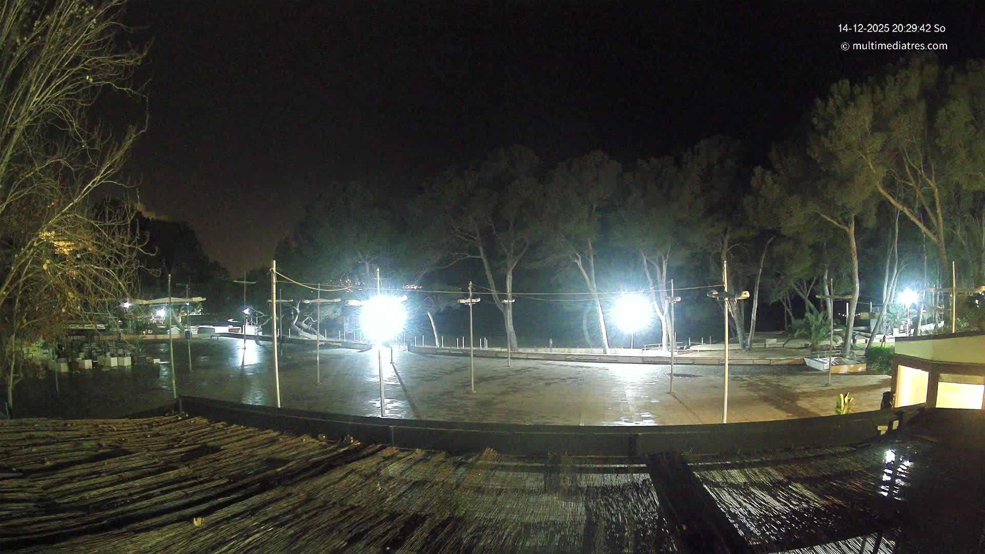 A sunny day with a clear blue sky and scattered white clouds reveals a beach scene featuring a sandy shore lined with numerous pine trees, a vibrant blue ocean with gentle waves, and a paved area in the foreground where a person walks.