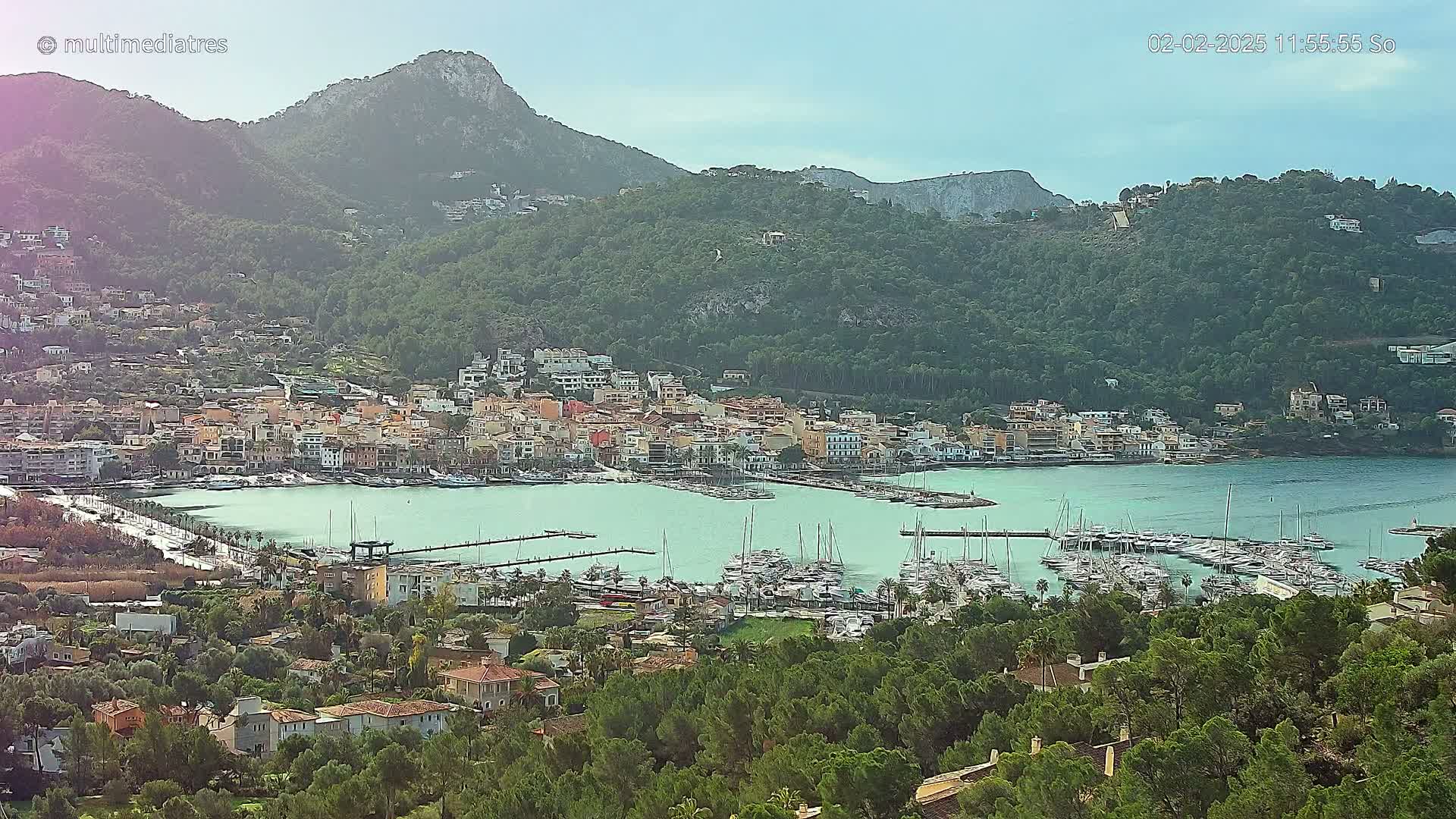 A coastal town nestled in a green hillside, with a calm harbor filled with numerous sailboats, under a clear sky.