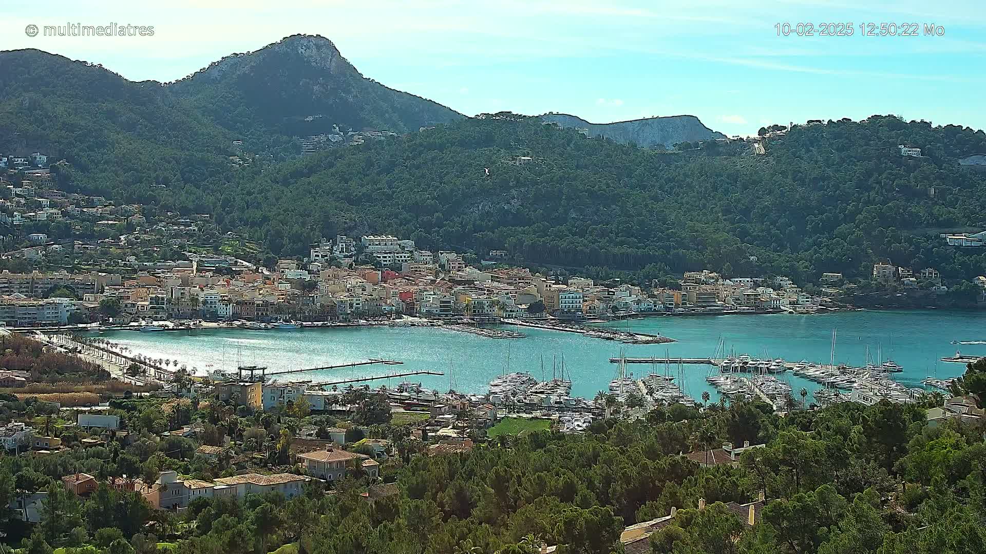 A coastal town with a marina full of boats nestled between green hills under a clear sky.