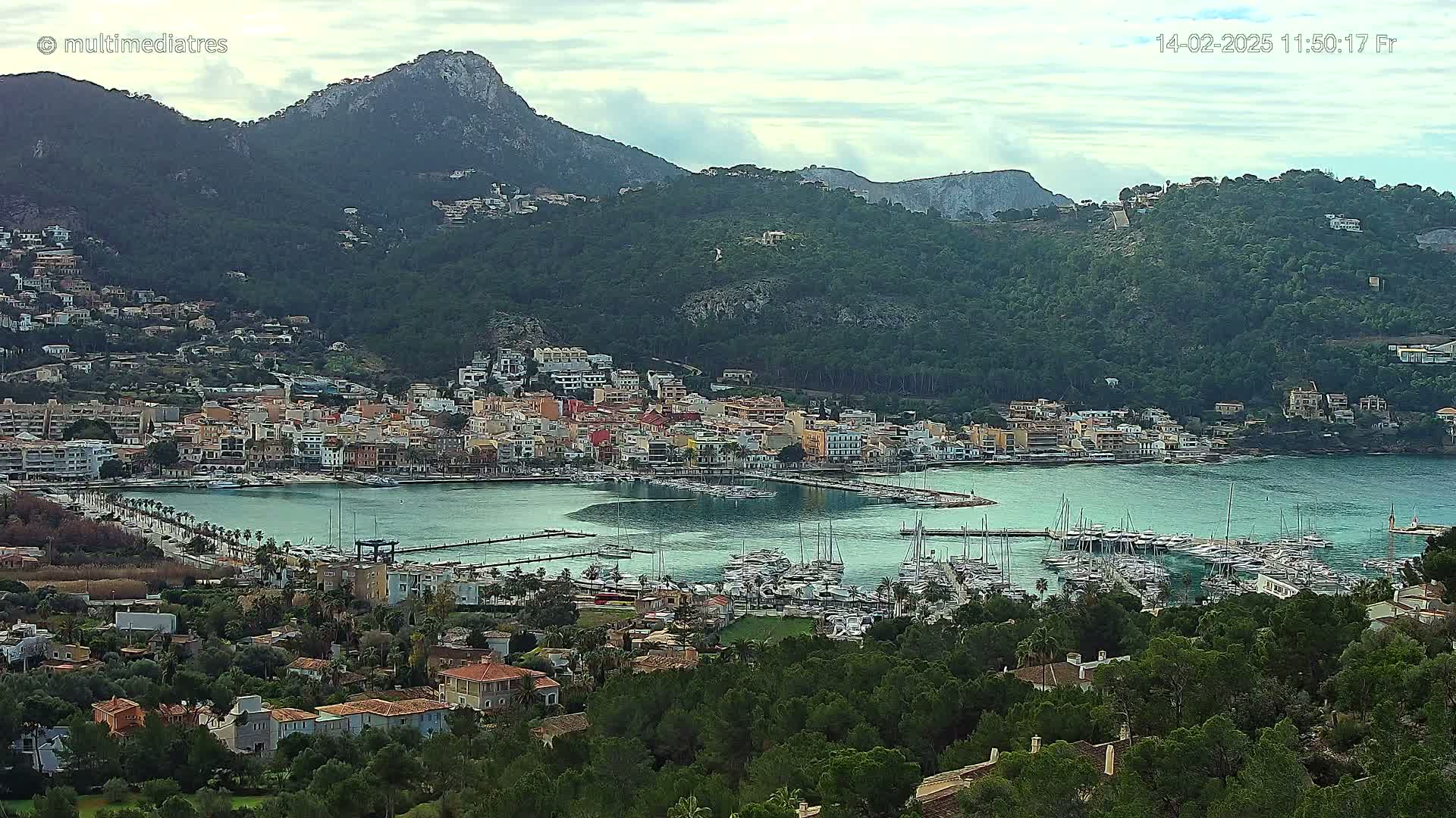 A coastal town with a marina filled with boats is nestled at the base of a large, verdant mountain under an overcast sky.