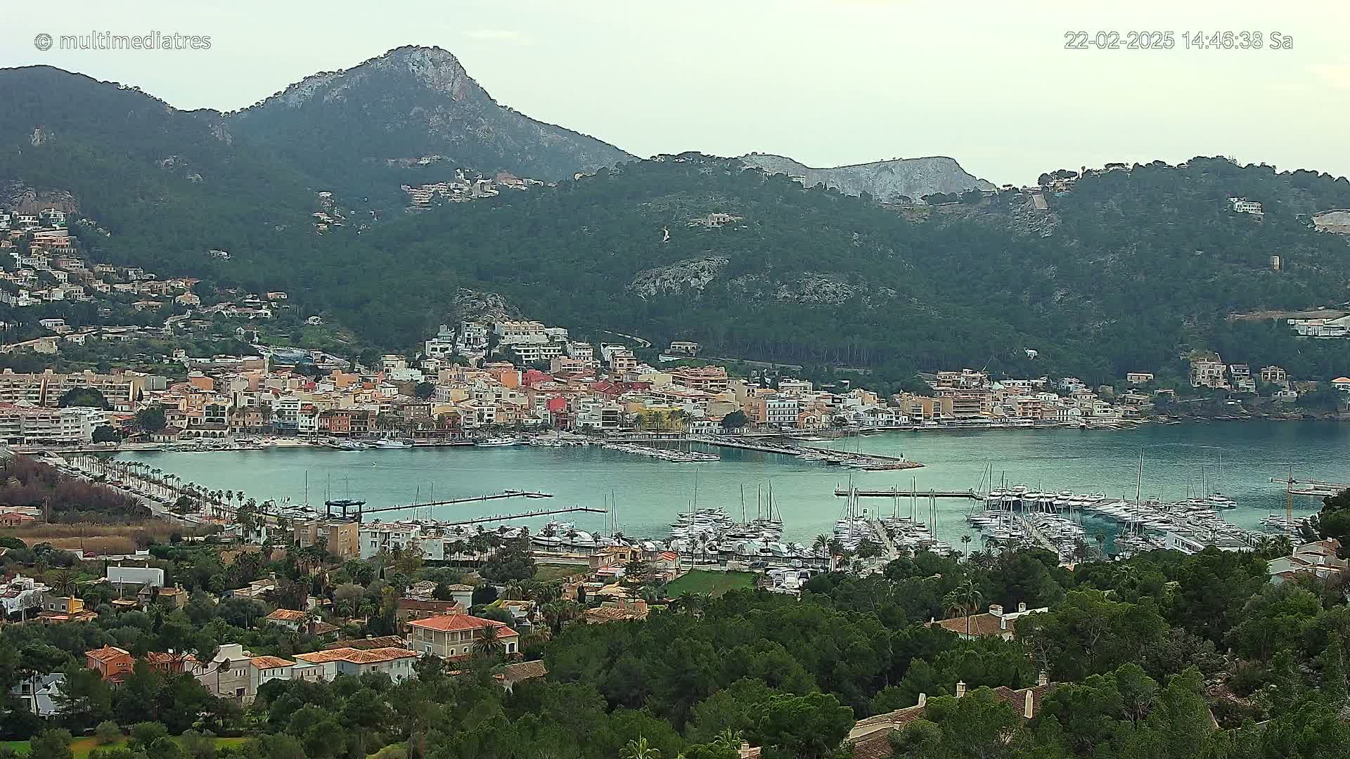 A coastal town with a marina filled with boats is nestled at the base of a large, green mountain under an overcast sky.