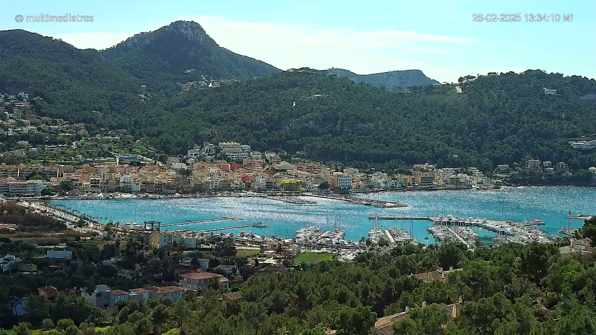 A coastal town nestled in a bay surrounded by green hills under a clear, sunny sky, with a marina filled with numerous boats.