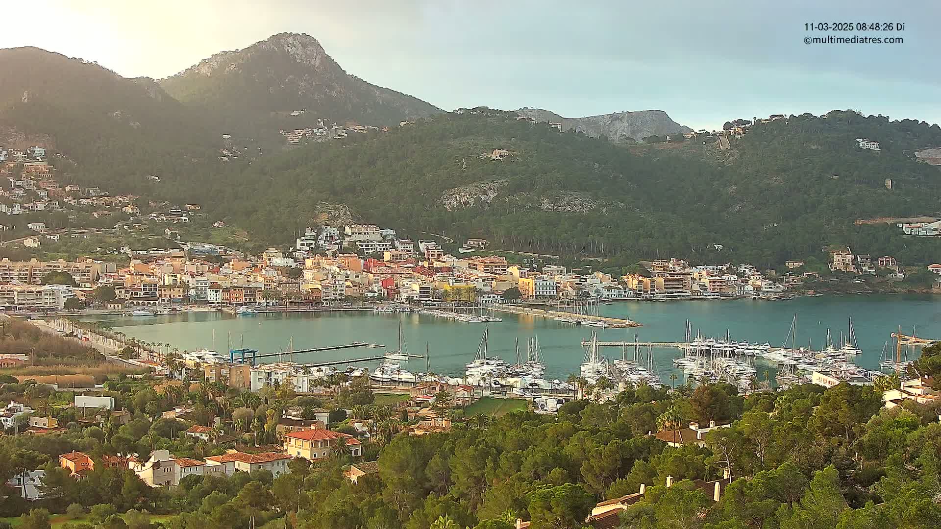 A coastal town nestled against a mountainside, with a calm harbor filled with numerous boats under a slightly overcast sky.