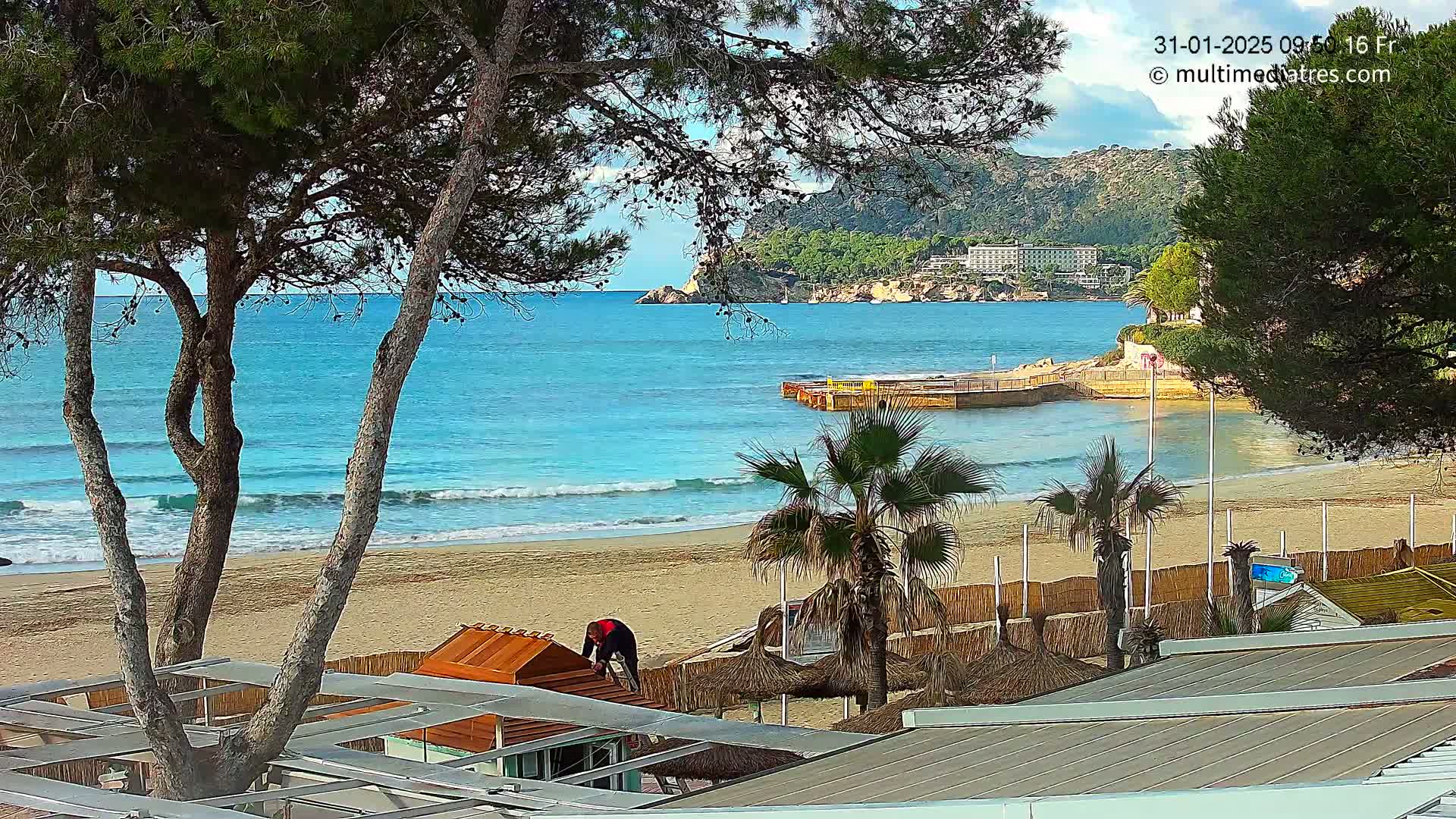 A sandy beach with gentle waves, palm trees, and beach huts is seen from behind a row of trees, with a hotel visible across the calm turquoise water in the background under a partly cloudy sky.