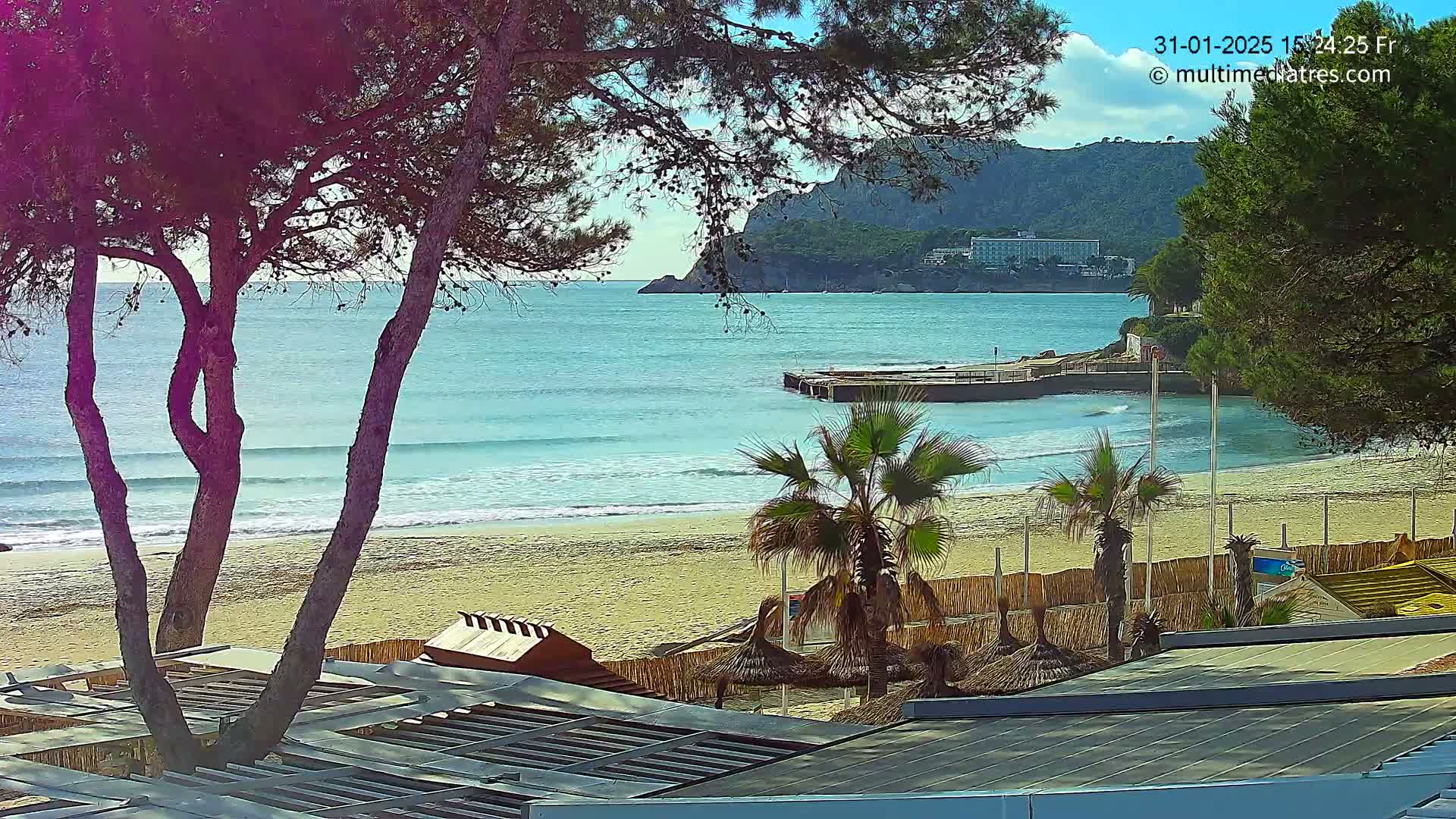 A sandy beach with gentle waves laps the shore under a mostly clear sky, framed by palm trees and pine trees, with a small pier and distant hills visible.