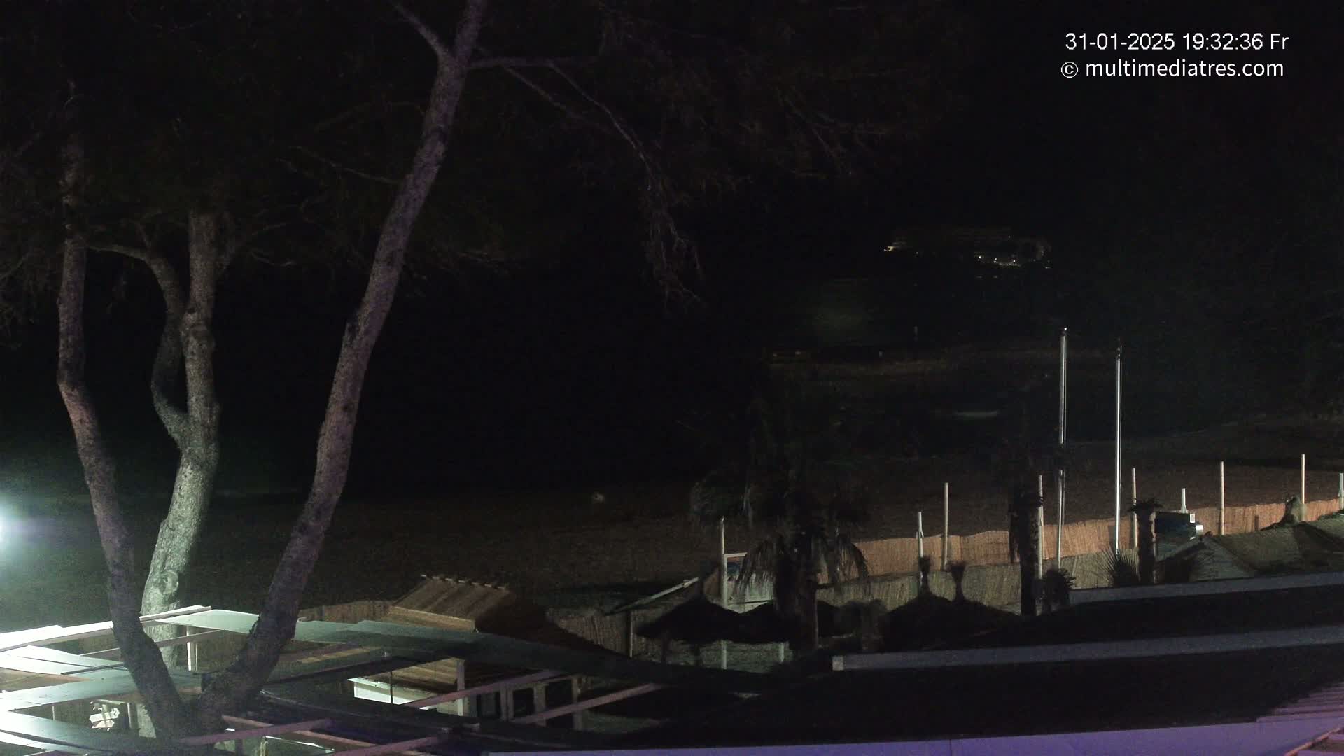 A nighttime view of a dark beach with some palm trees and beach structures, seen from above a tree-lined area.