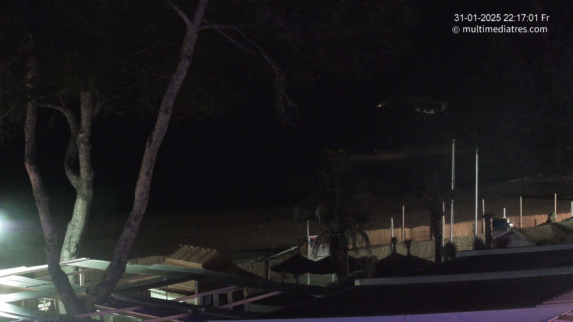 A nighttime view of a beach at night, showing dark sand, a few palm trees, beach structures, and a large tree in the foreground.