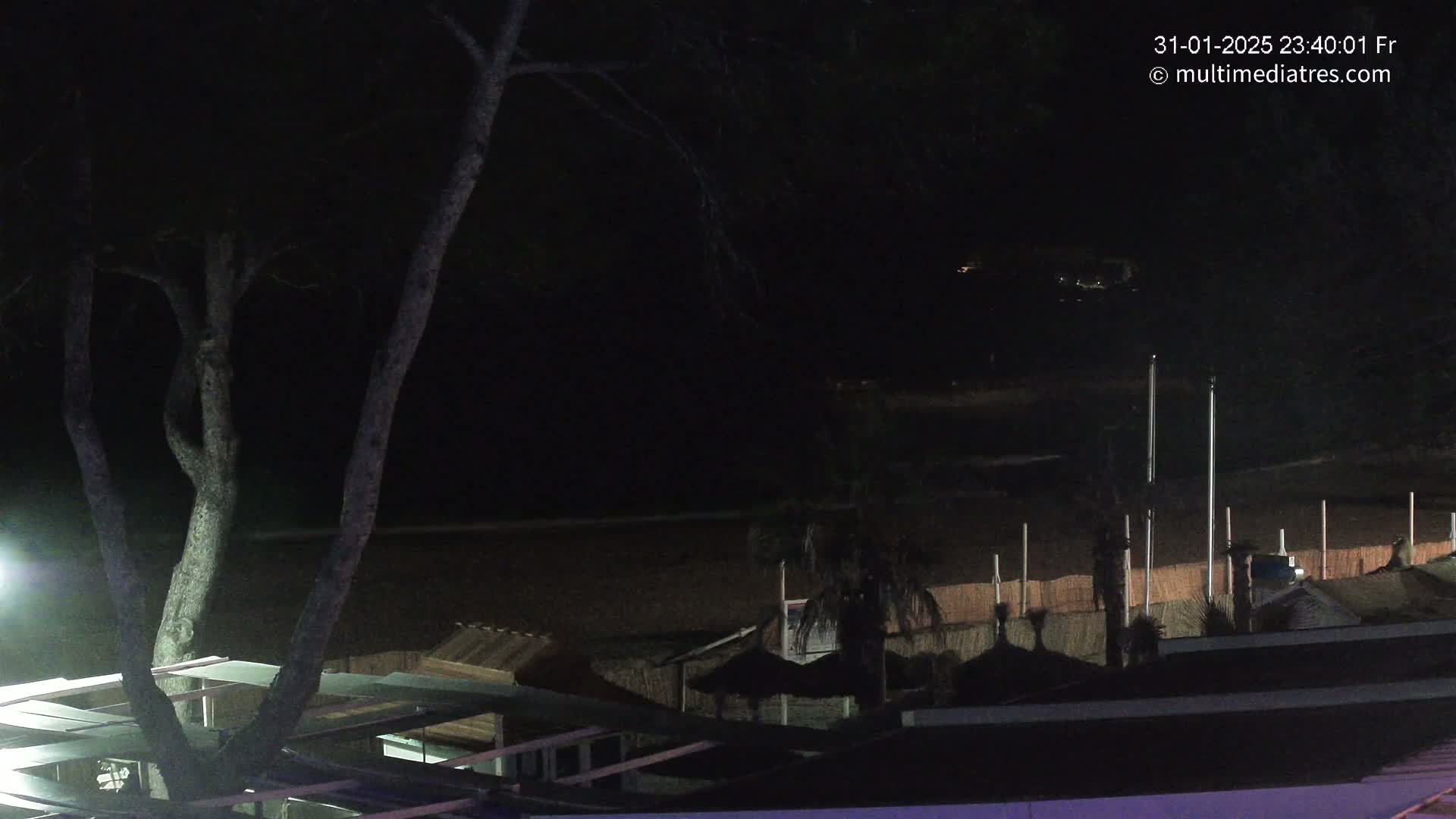 A nighttime view of a dark beach with structures and trees, under a clear, moonless sky.