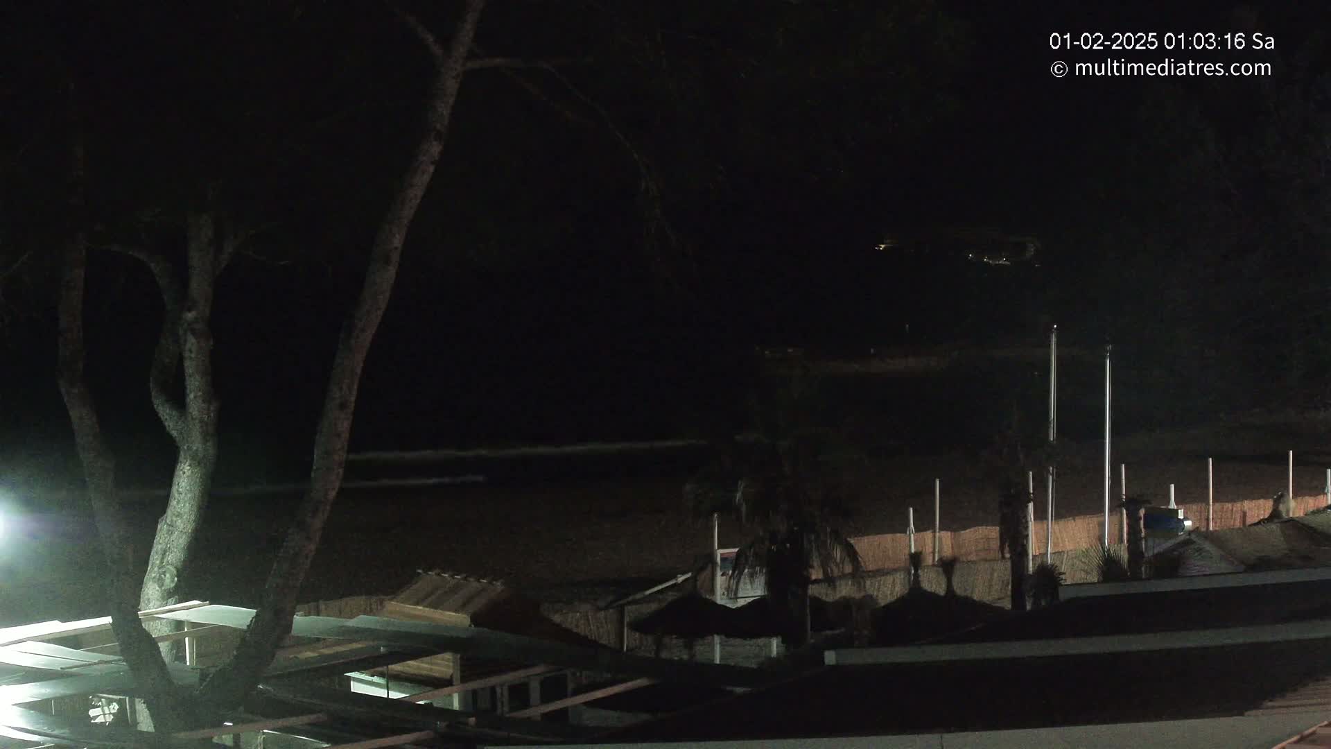 A nighttime view of a dark beach with calm water, beach huts, and palm trees, under a clear sky.