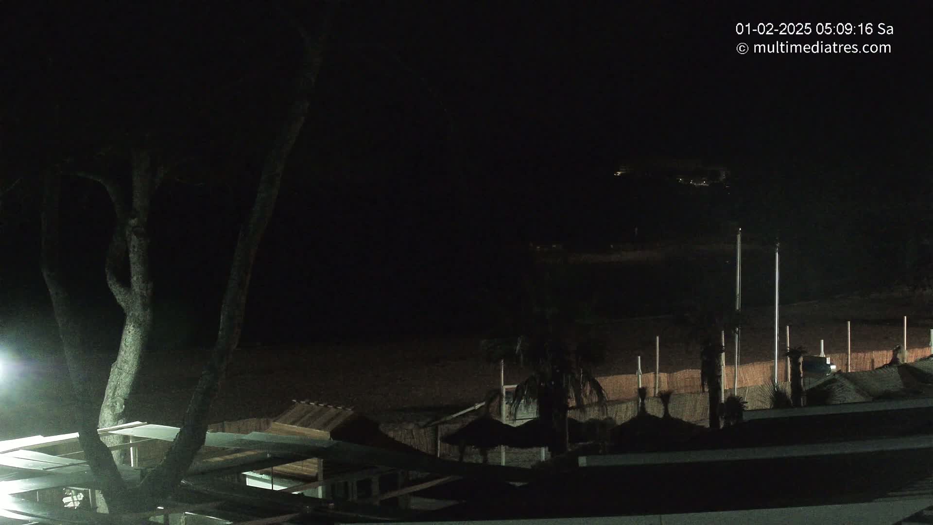 A dark nighttime view of a beach with several structures, palm trees, and a tree in the foreground.