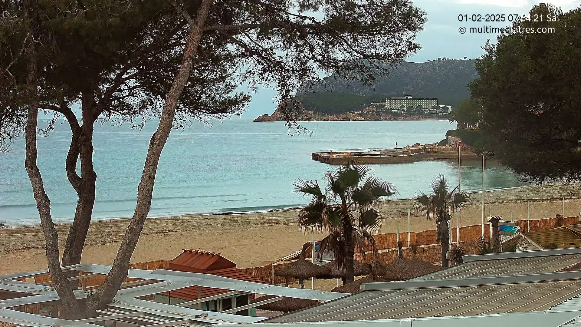 A sandy beach with calm, light blue water, palm trees, and buildings is seen from behind a row of trees on an overcast day.