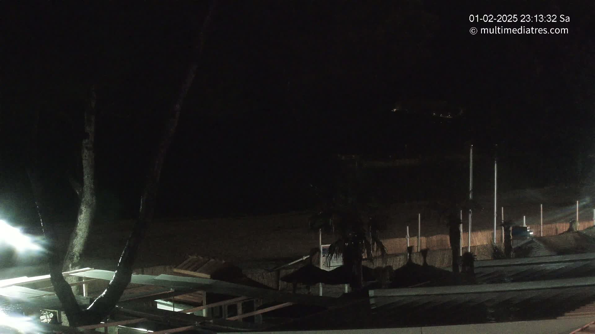 A nighttime view of a beach with dark buildings and a tree in the foreground, under a clear sky.